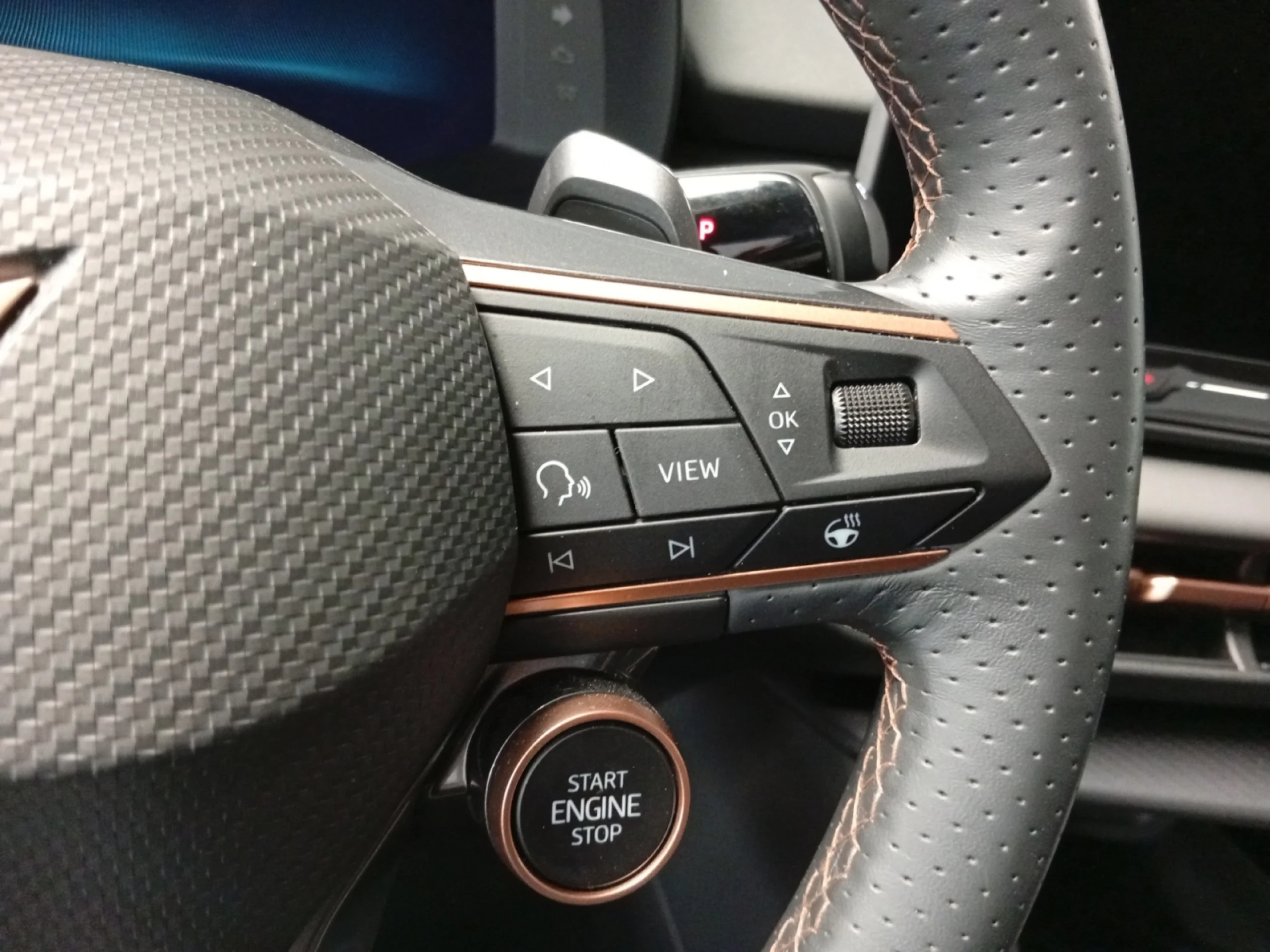 CUPRA TERRAMAR 1.5 ETSI 110KW (150 CV) DSG - Foto 12