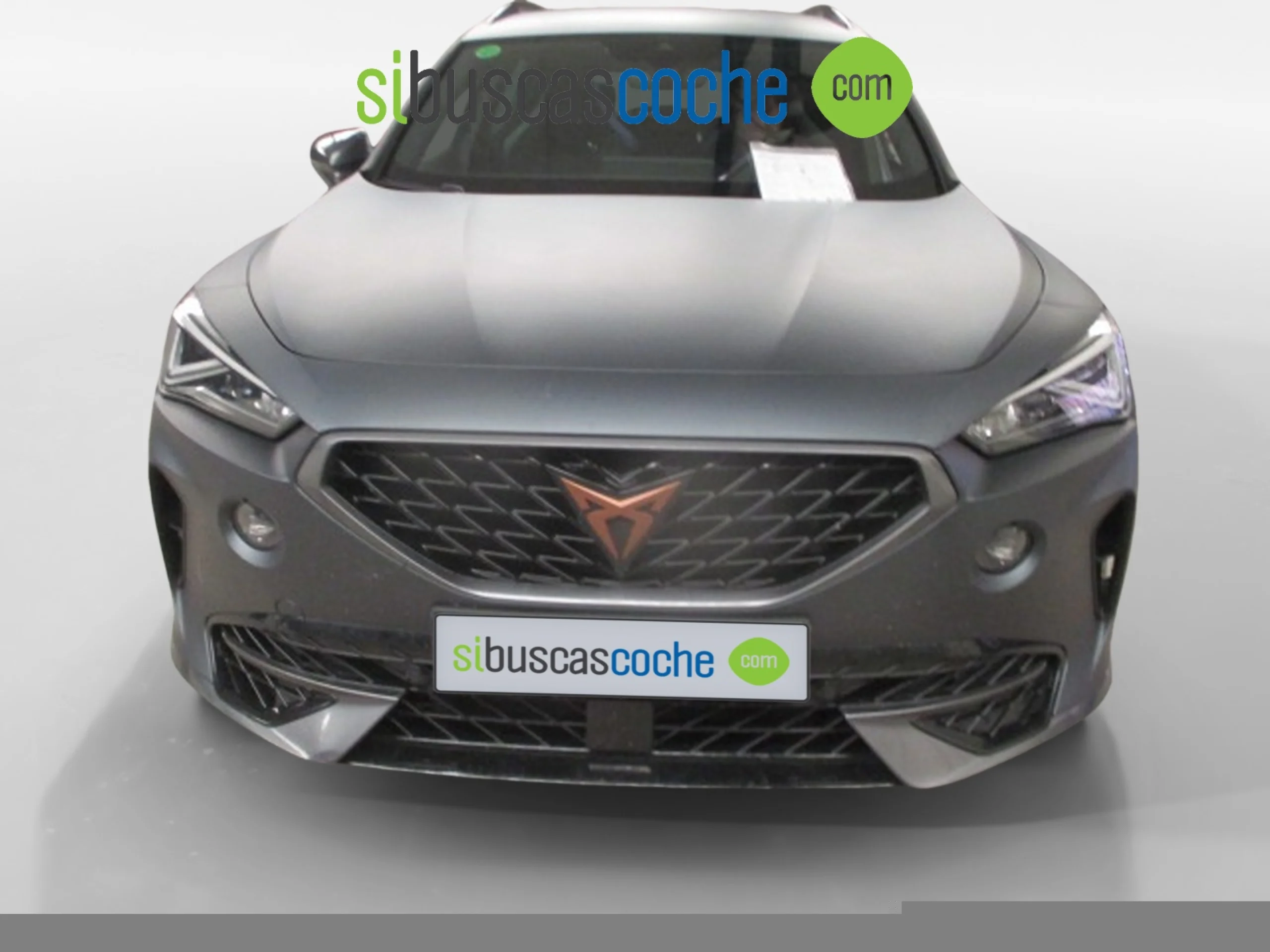 CUPRA FORMENTOR 2.0 TSI 228KW (310 CV) VZ 4DRIVE DSG - Foto 2