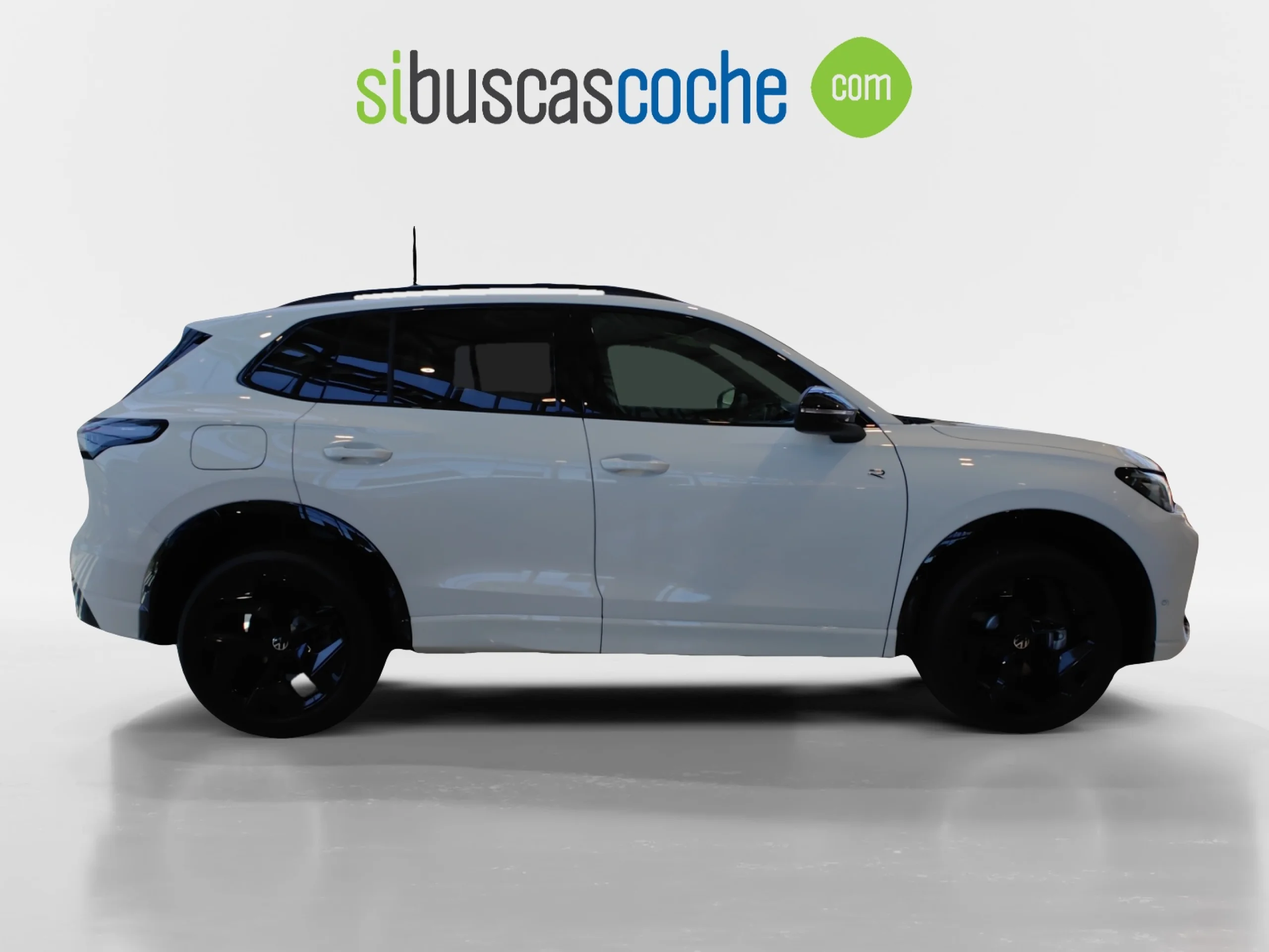 VOLKSWAGEN TIGUAN R LINE 2.0 TDI 142KW (193CV) DSG 4MOTION - Foto 3