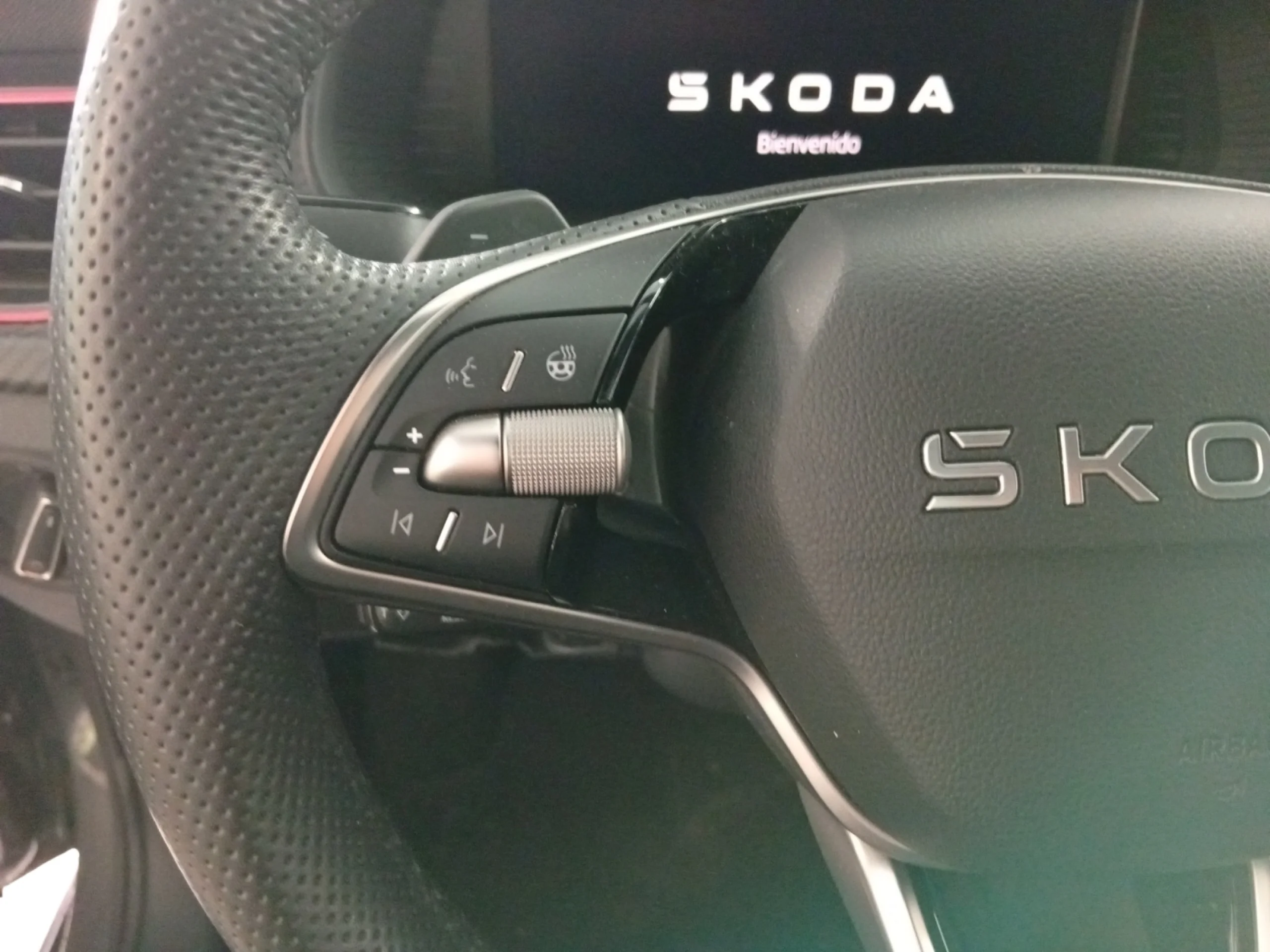 SKODA KAMIQ 1.5 TSI 110KW (150CV) DSG MONTE CARLO - Foto 10