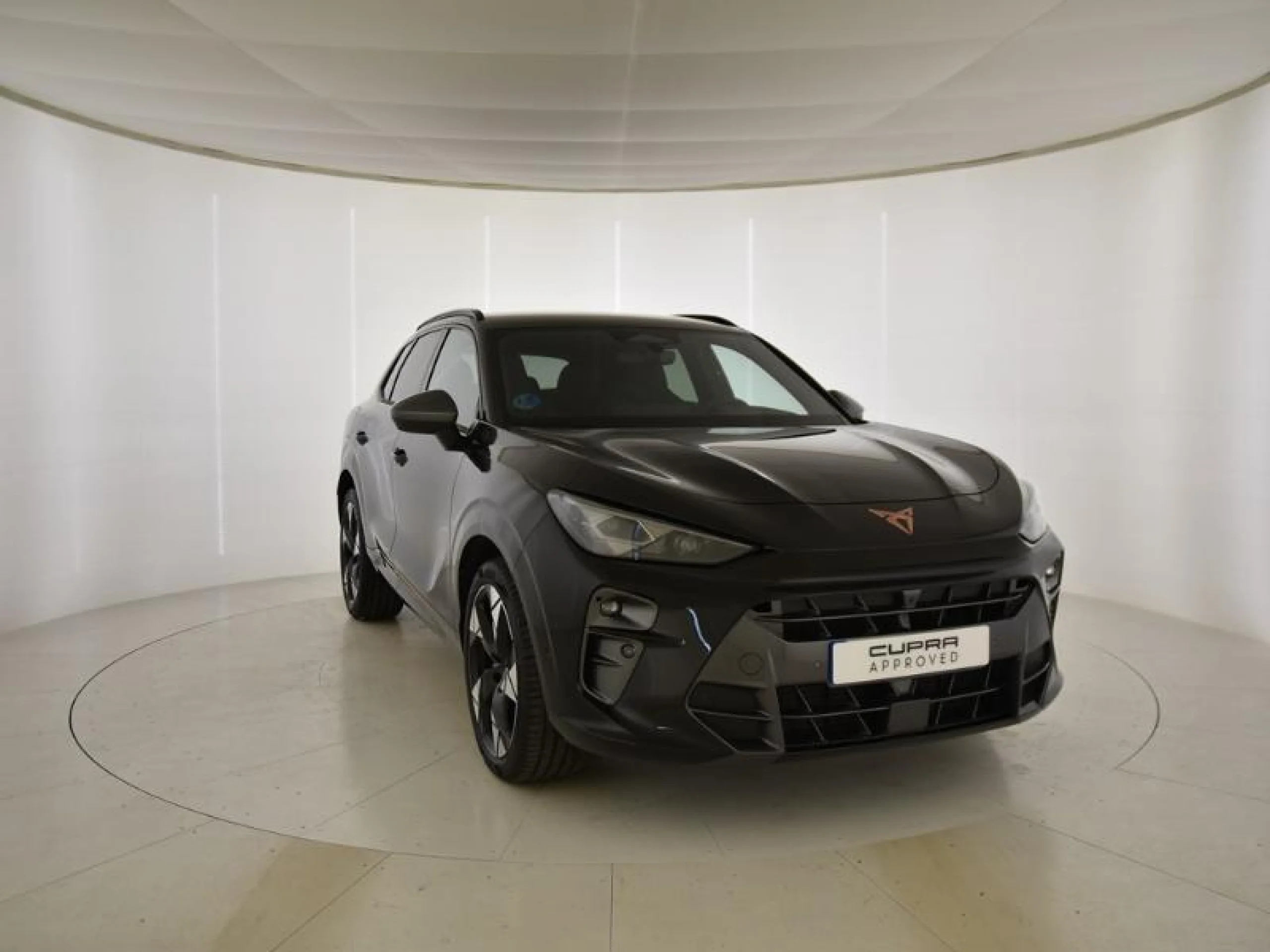 CUPRA TERRAMAR 1.5 ETSI 110KW (150 CV) DSG - Foto 1