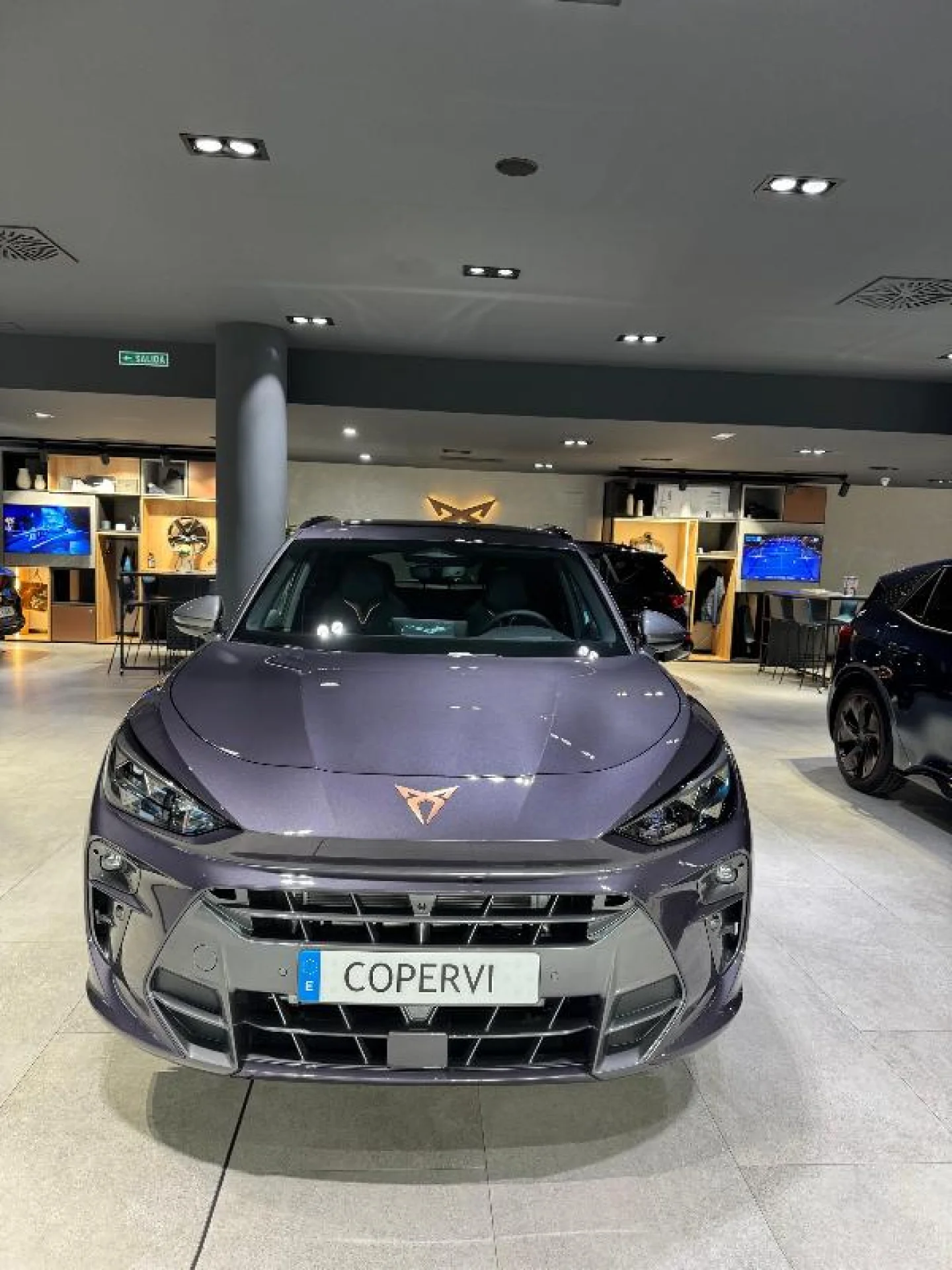 CUPRA TERRAMAR 1.5 TSI E HYBRID 200KW (272 CV) VZ DSG - Foto 3