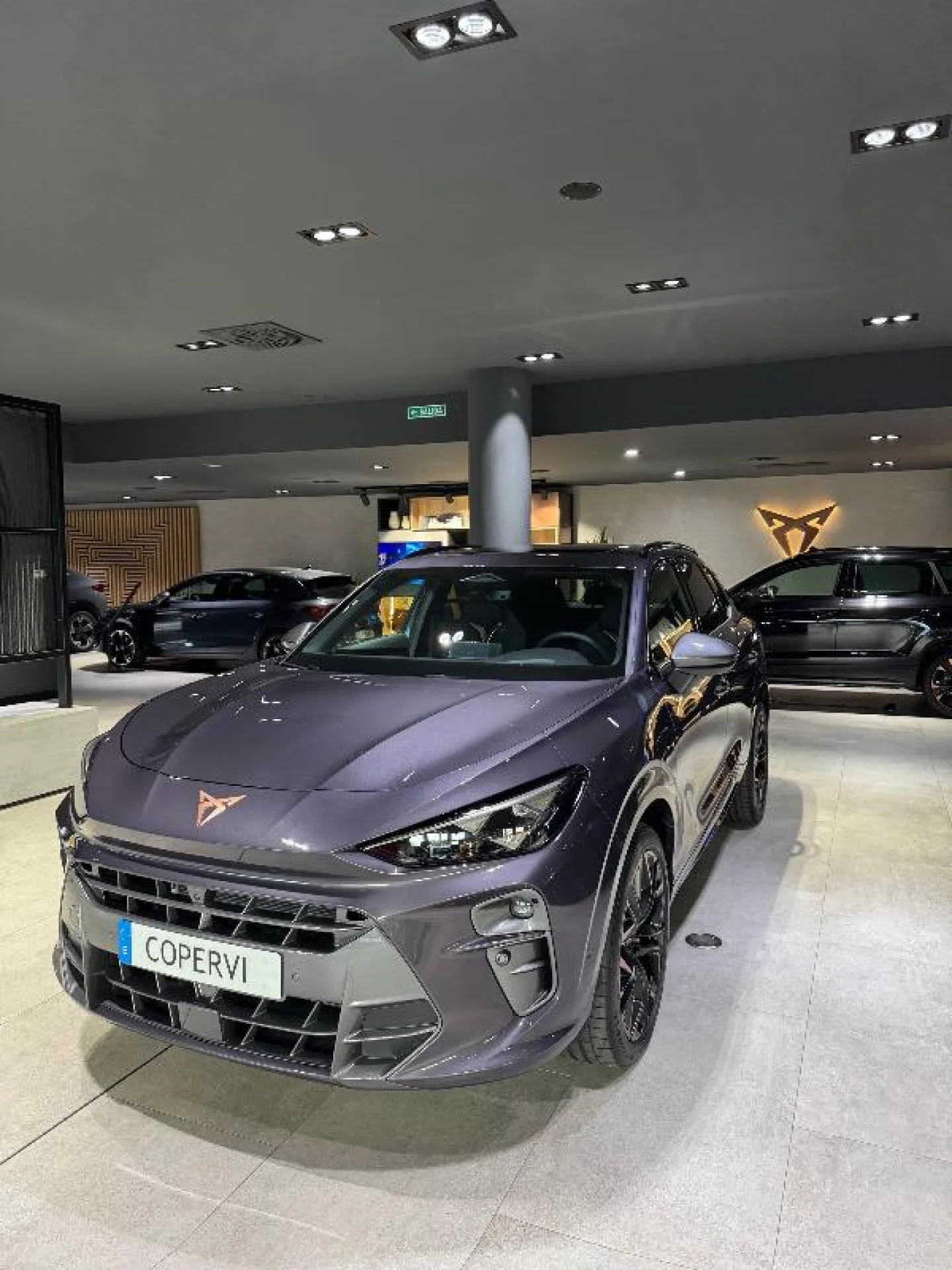 CUPRA TERRAMAR 1.5 TSI E HYBRID 200KW (272 CV) VZ DSG - Foto 5