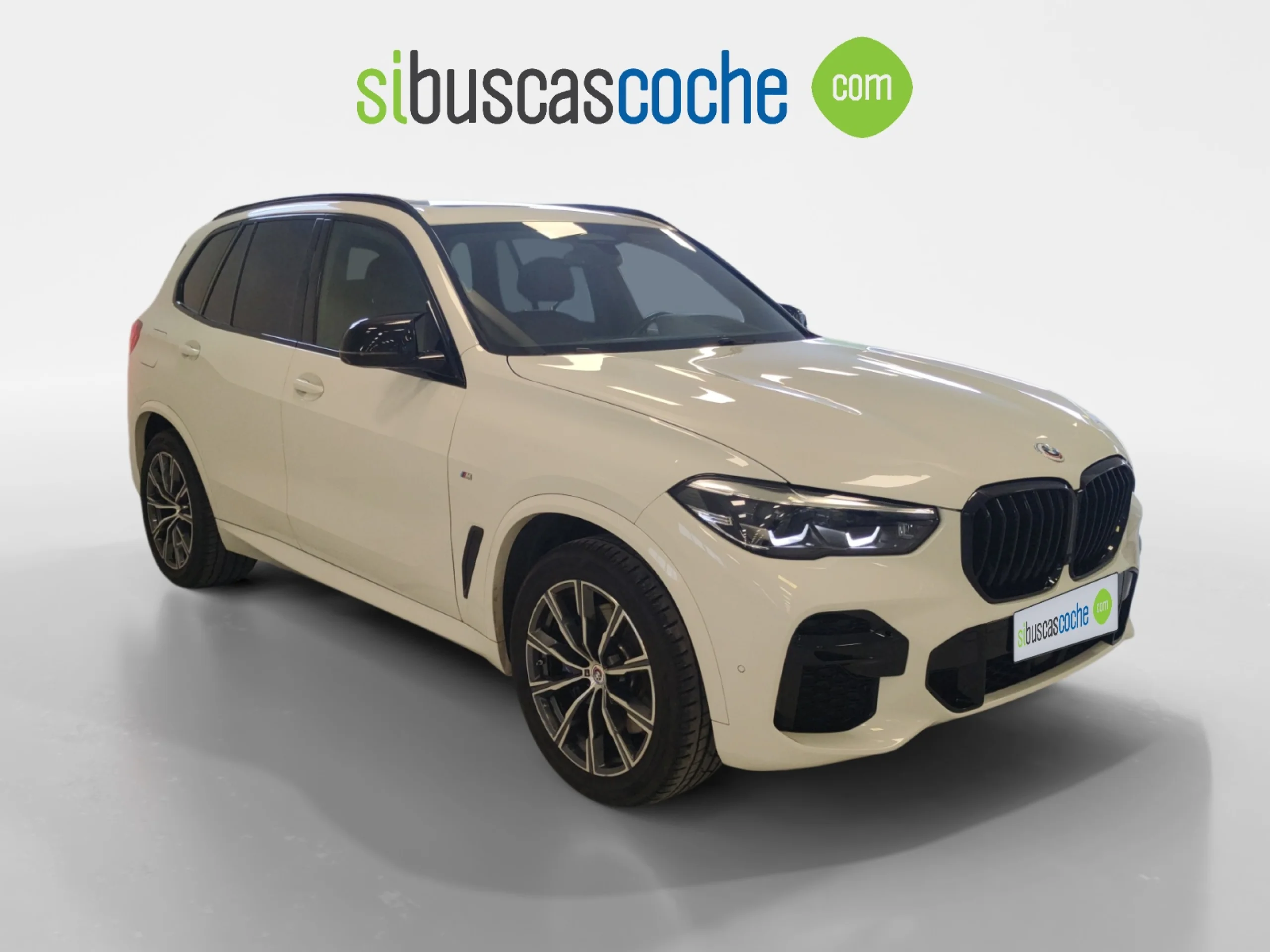 BMW X5 XDRIVE30D - Foto 1