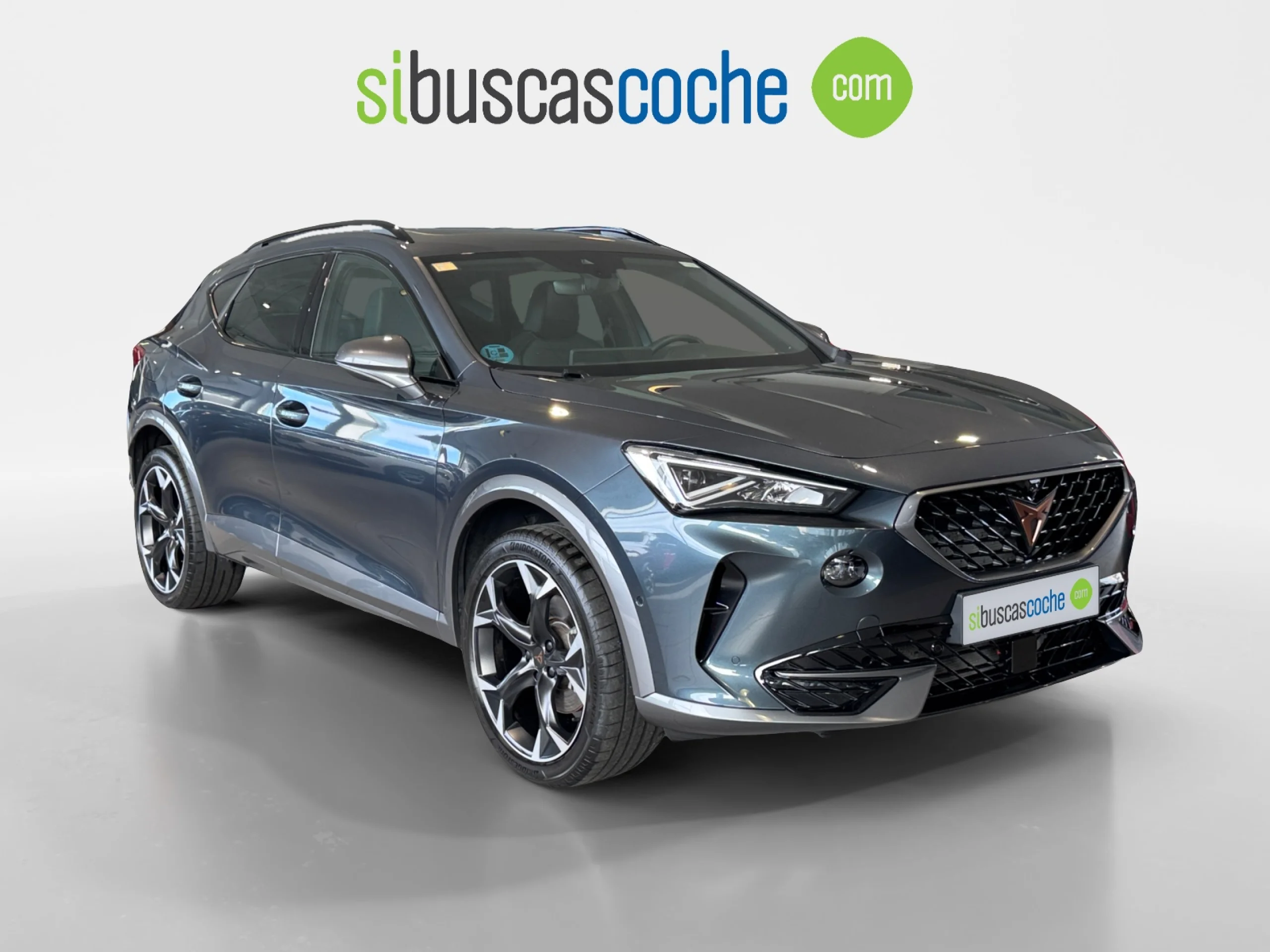 CUPRA FORMENTOR 2.0 TDI 110KW (150 CV) 4DRIVE DSG - Foto 1