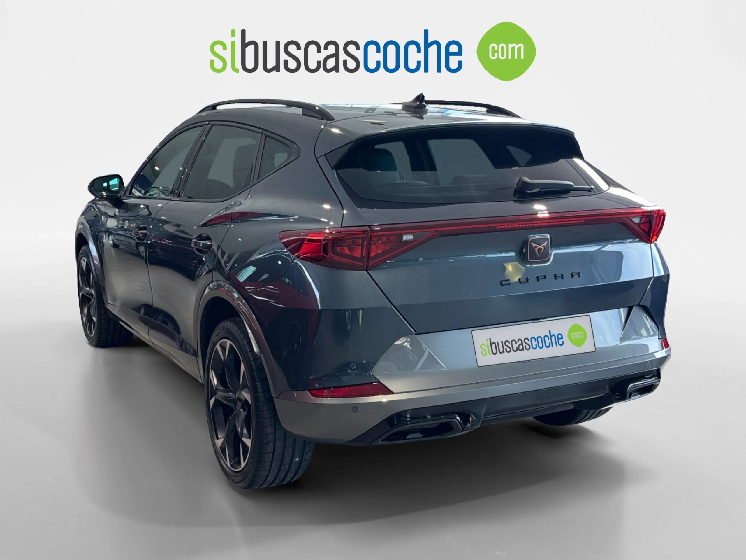 CUPRA FORMENTOR 2.0 TDI 110KW (150 CV) 4DRIVE DSG - Foto 2
