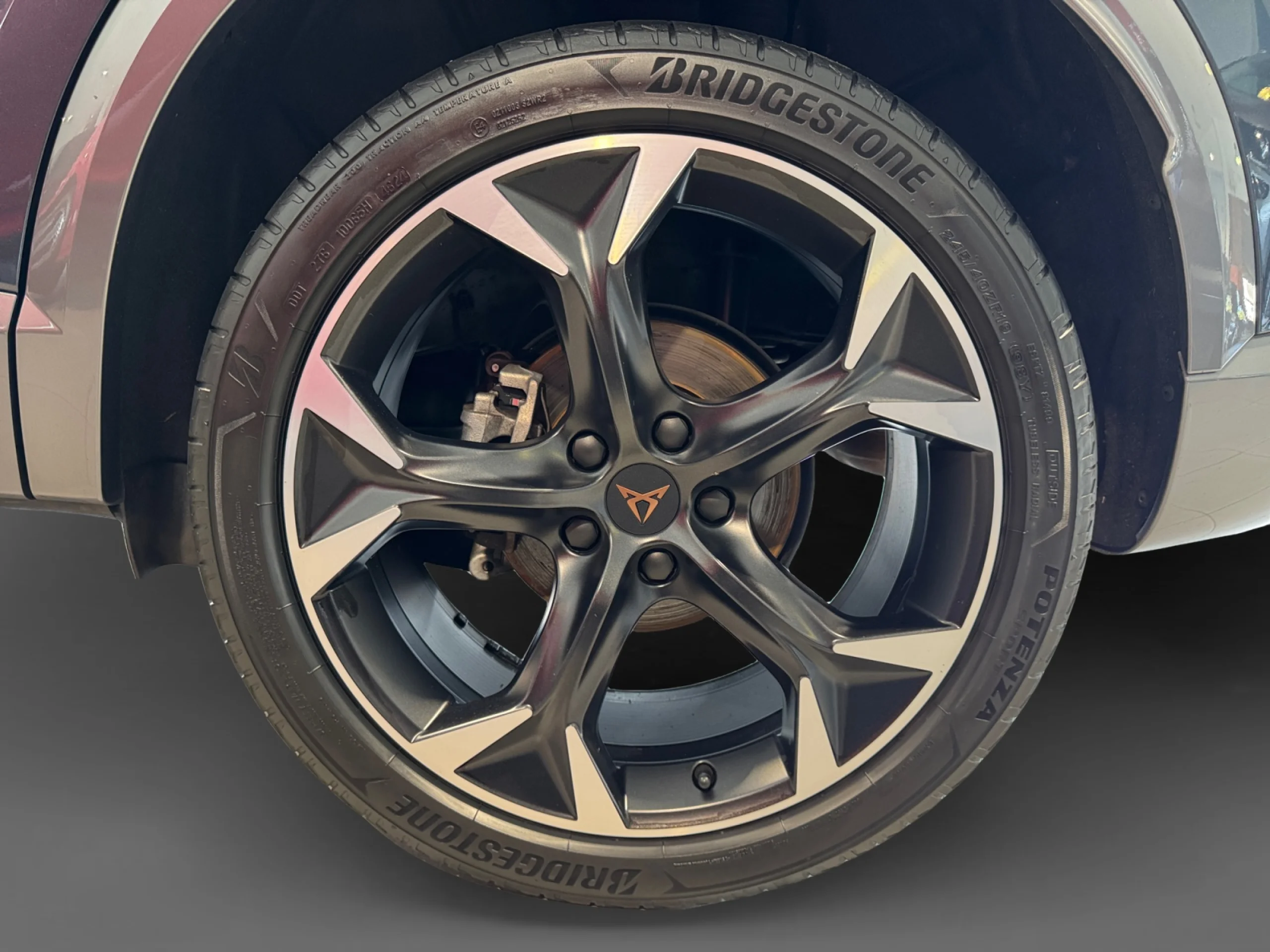 CUPRA FORMENTOR 2.0 TDI 110KW (150 CV) 4DRIVE DSG - Foto 9