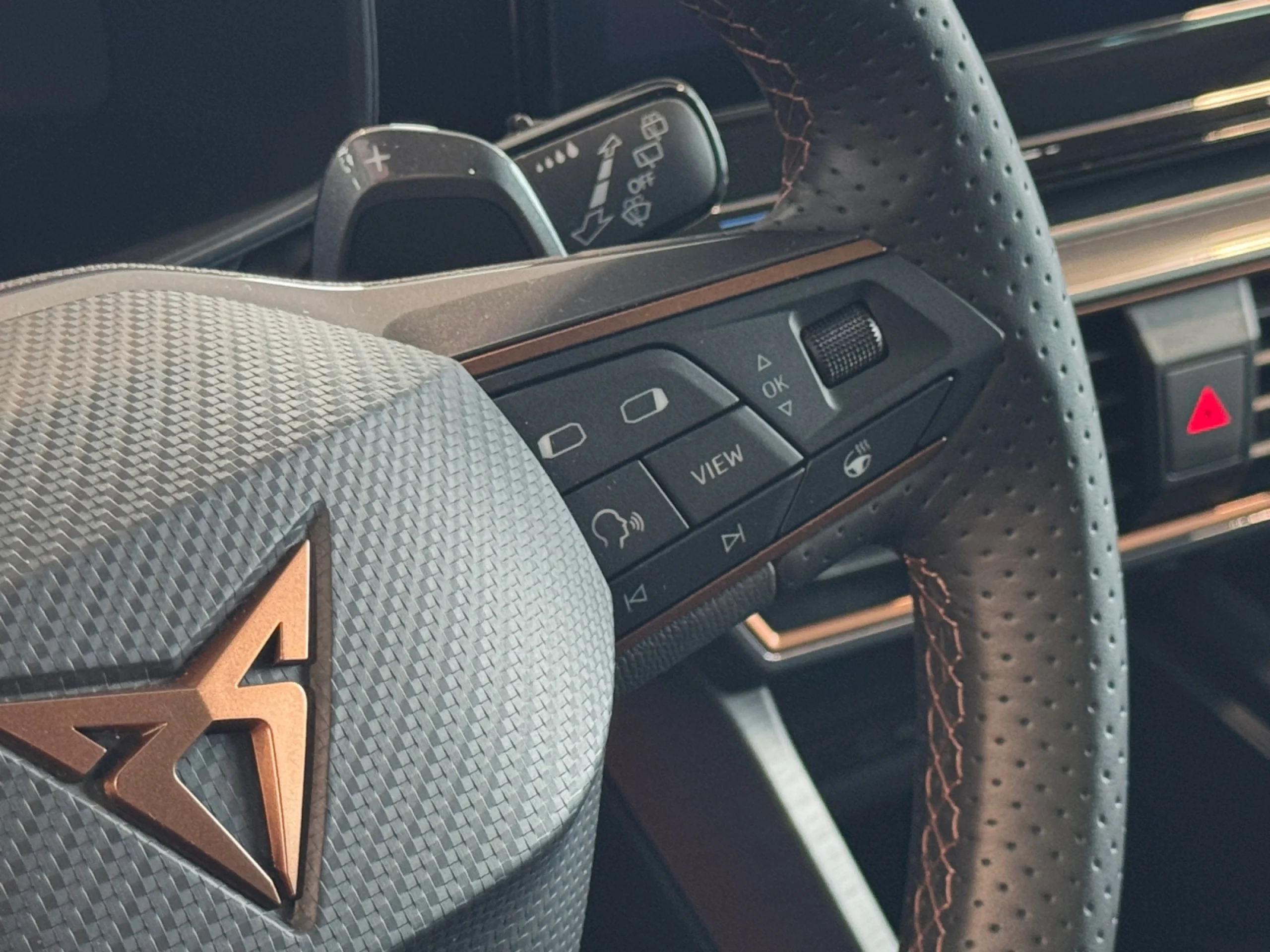 CUPRA FORMENTOR 2.0 TDI 110KW (150 CV) 4DRIVE DSG - Foto 12