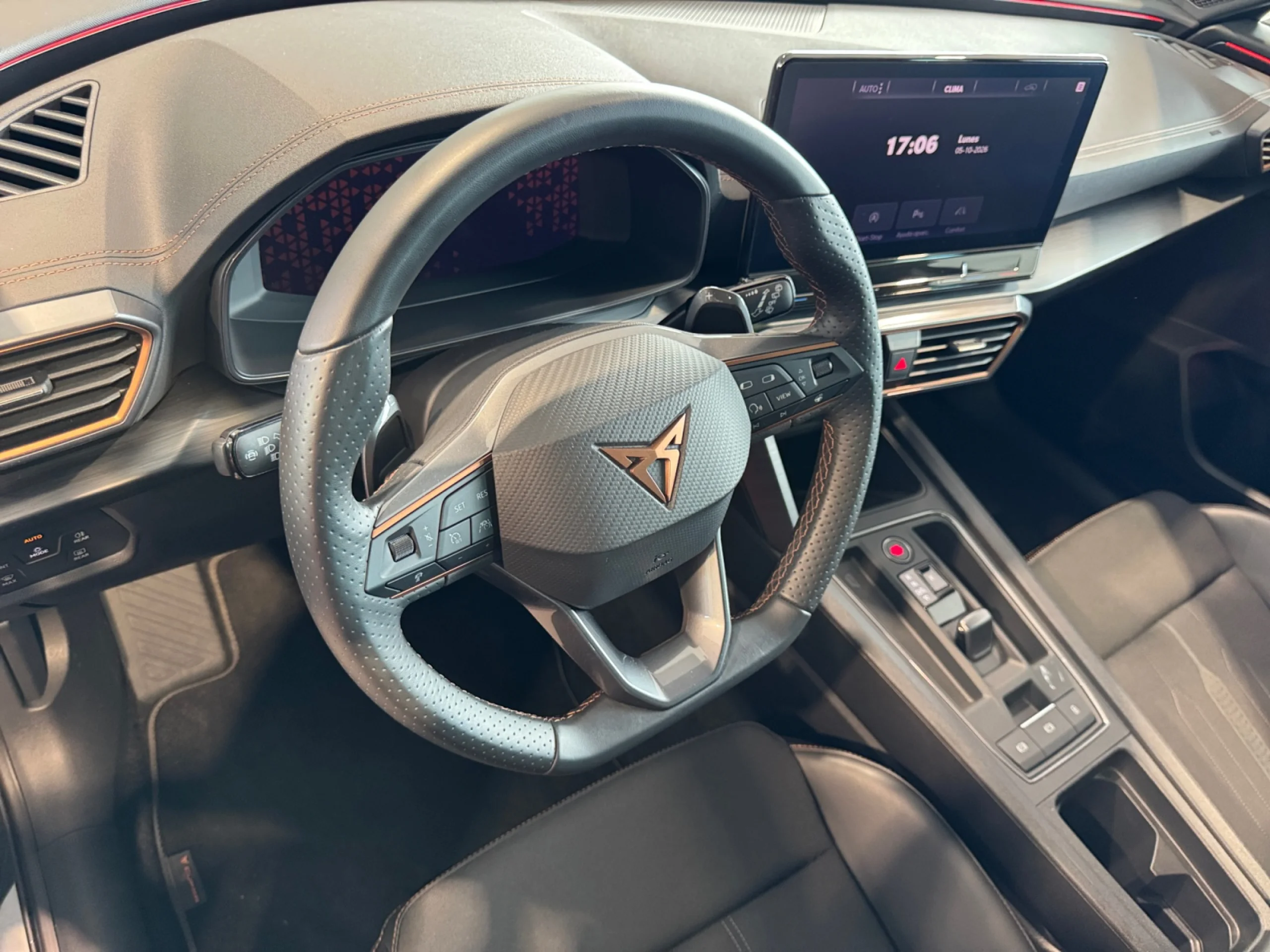 CUPRA FORMENTOR 2.0 TDI 110KW (150 CV) 4DRIVE DSG - Foto 13