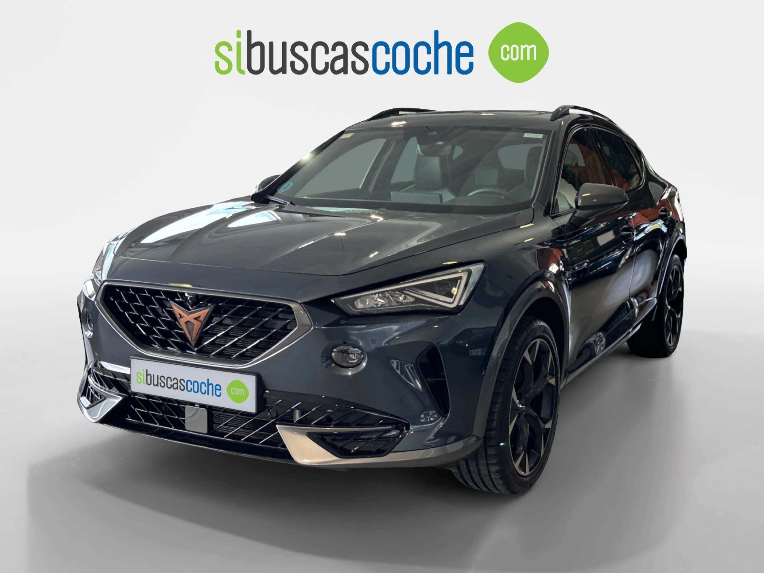CUPRA FORMENTOR 2.0 TDI 110KW (150 CV) 4DRIVE DSG - Foto 15