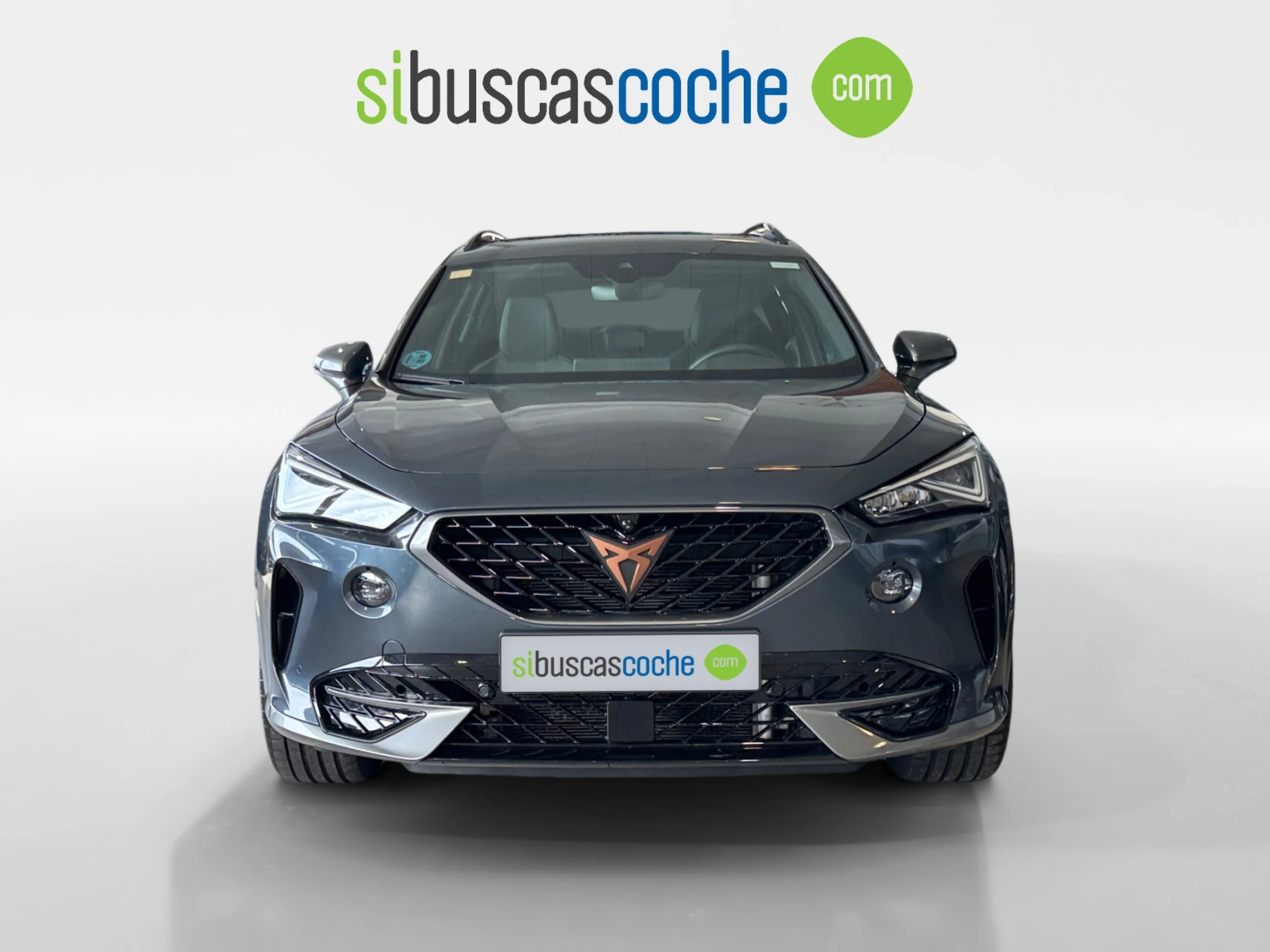 CUPRA FORMENTOR 2.0 TDI 110KW (150 CV) 4DRIVE DSG - Foto 16