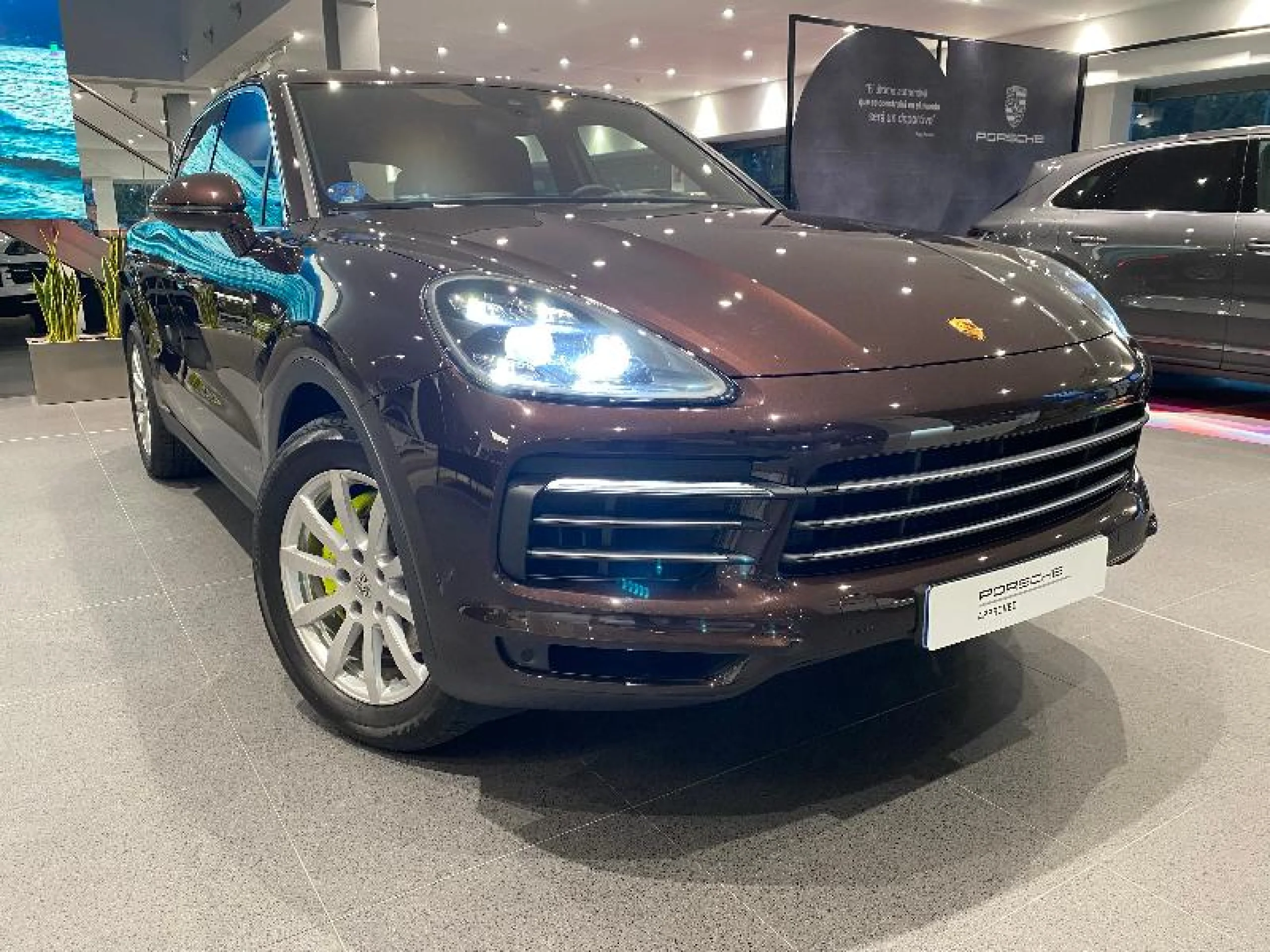 PORSCHE CAYENNE E HYBRID - Foto 12
