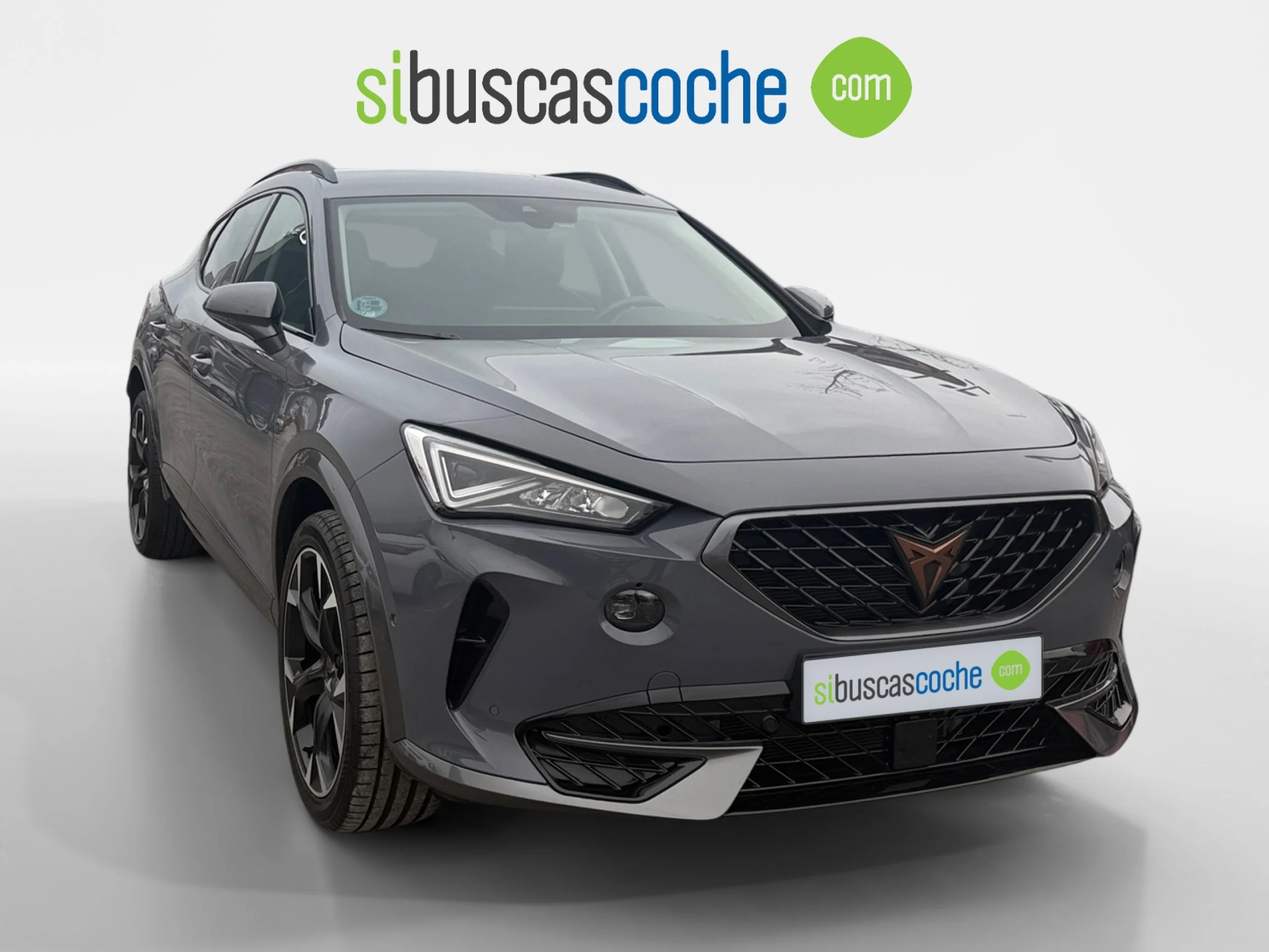 CUPRA FORMENTOR 1.5 TSI 110KW (150 CV) DSG - Foto 1