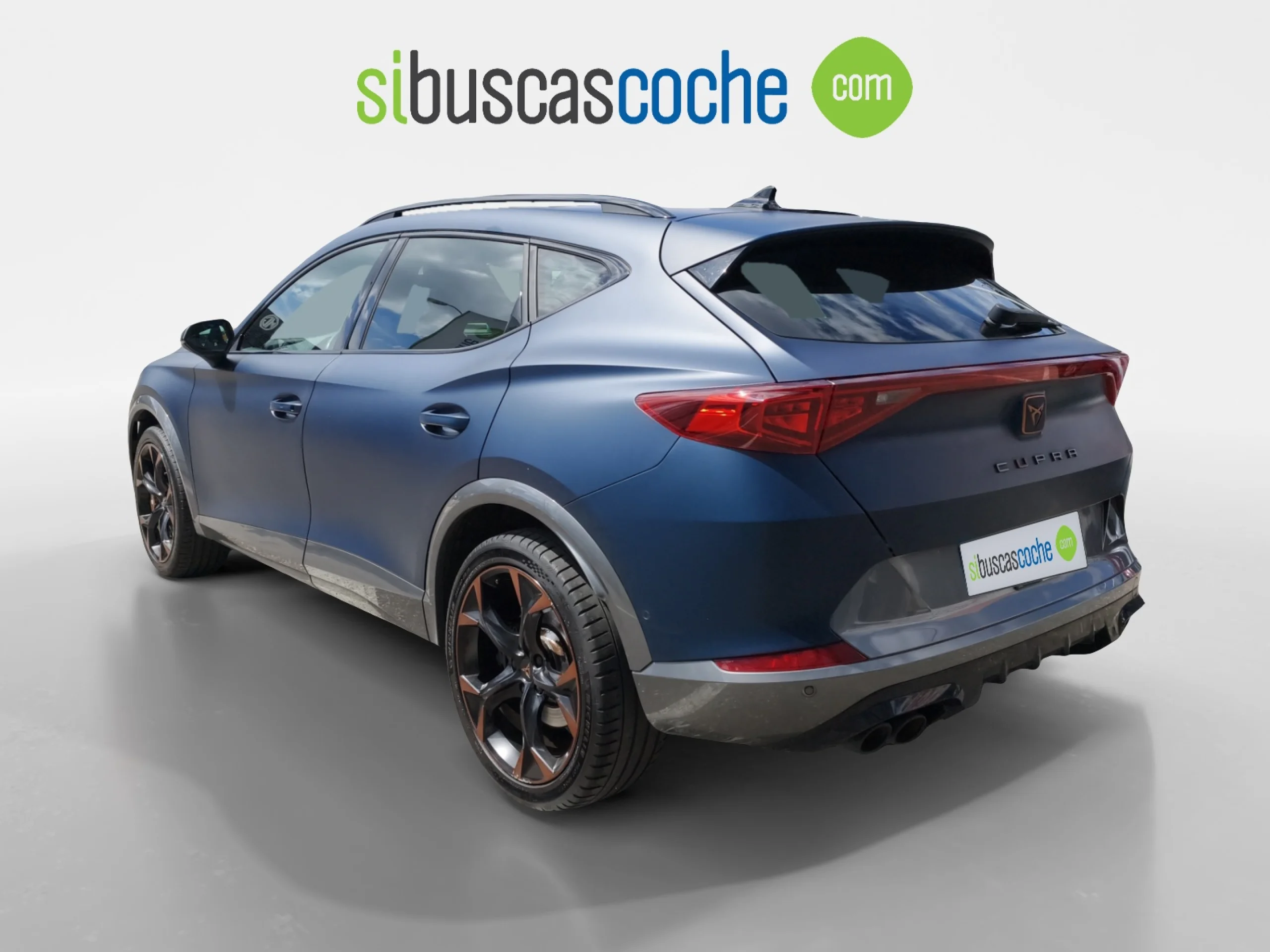 CUPRA FORMENTOR 2.0 TSI 228KW (310 CV) VZ 4DRIVE DSG - Foto 2