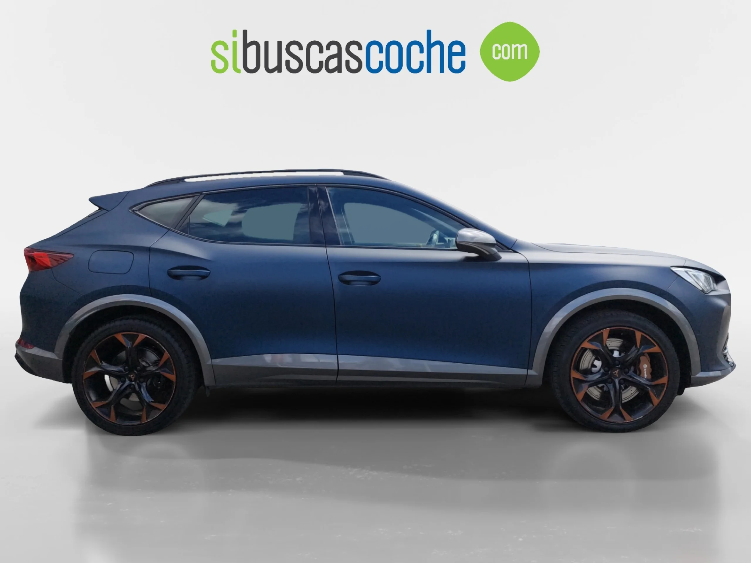 CUPRA FORMENTOR 2.0 TSI 228KW (310 CV) VZ 4DRIVE DSG - Foto 3