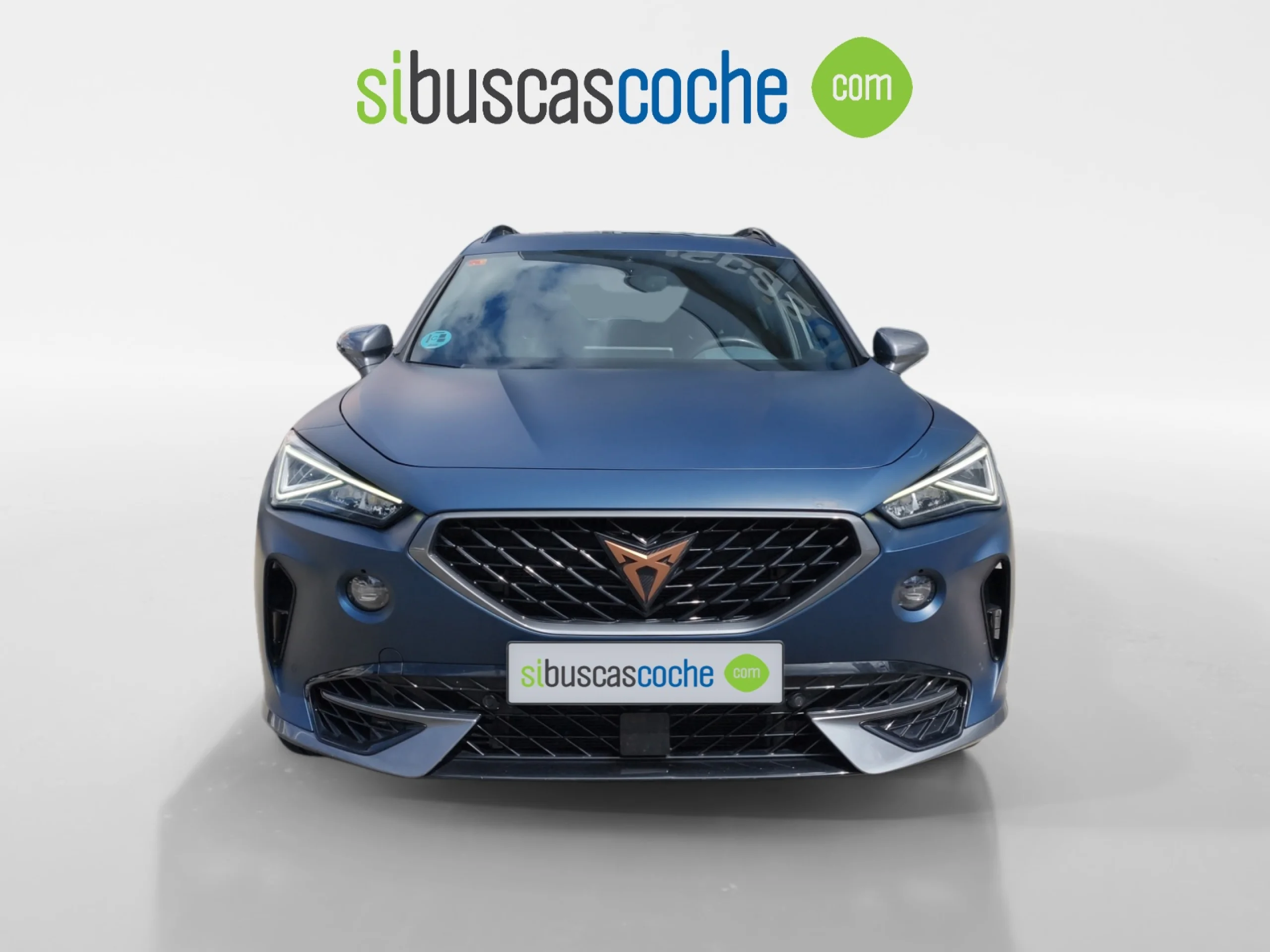 CUPRA FORMENTOR 2.0 TSI 228KW (310 CV) VZ 4DRIVE DSG - Foto 12