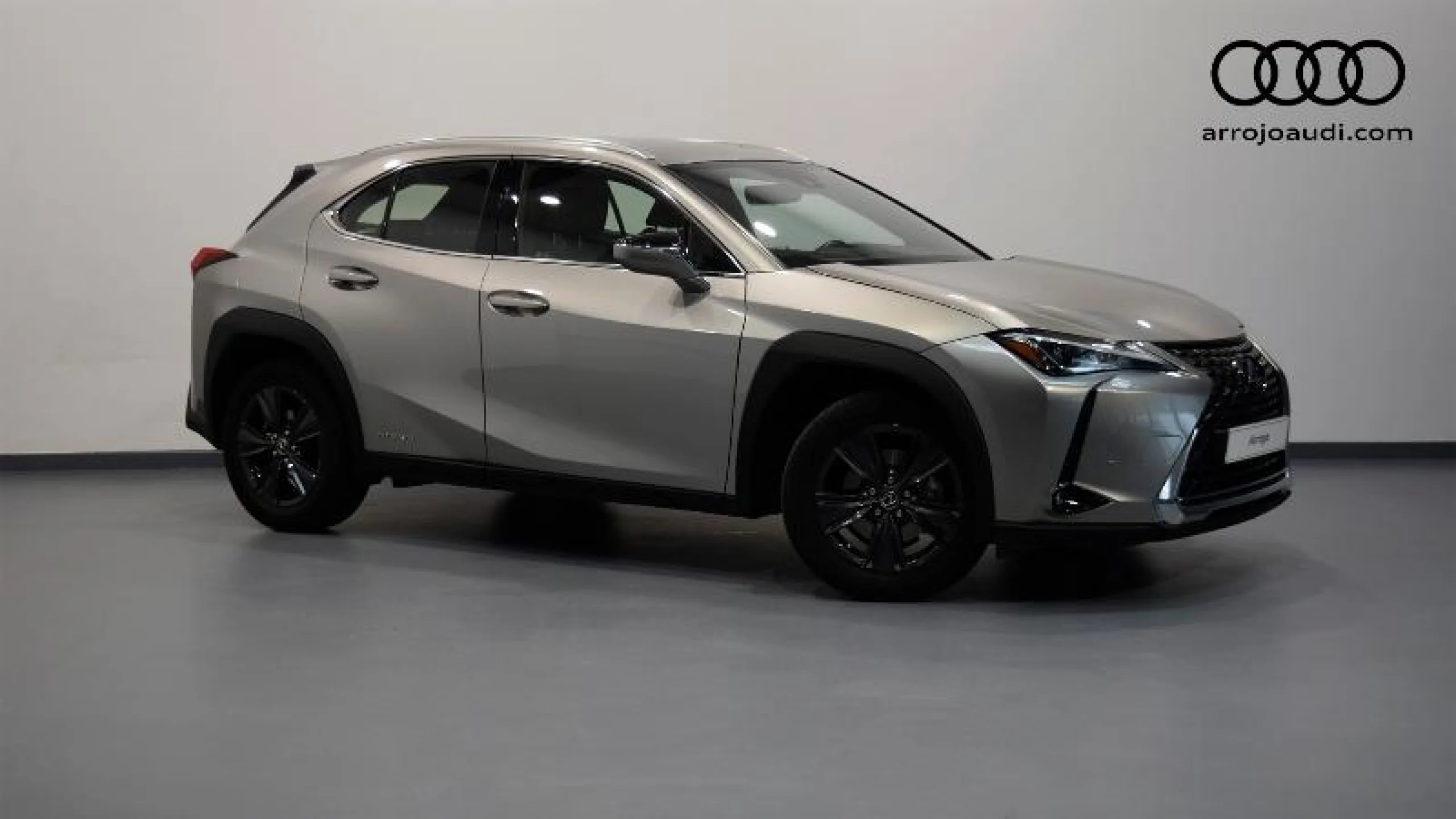 Lexus UX 2.0 250H BUSINESS - Foto 1