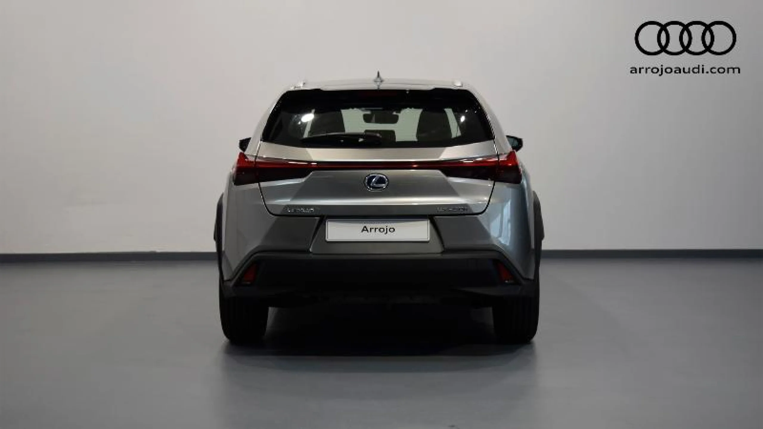 Lexus UX 2.0 250H BUSINESS - Foto 13