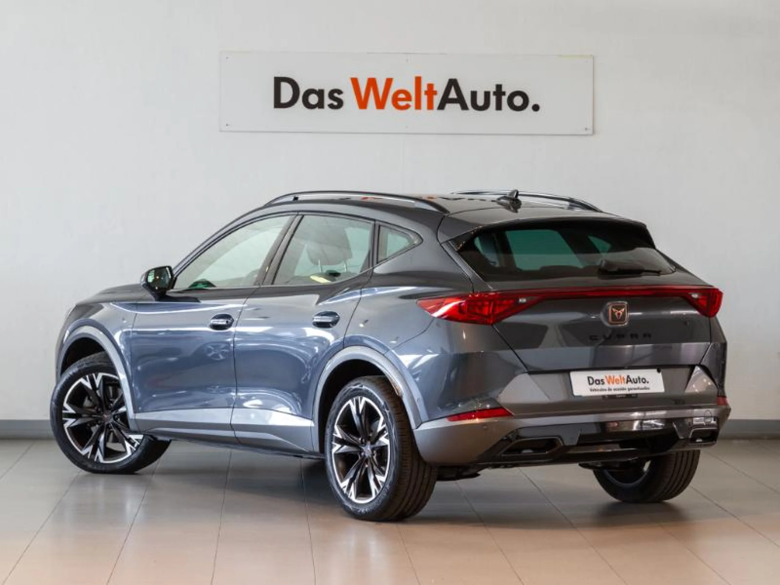 CUPRA FORMENTOR 1.5 TSI 110KW (150 CV) DSG - Foto 2