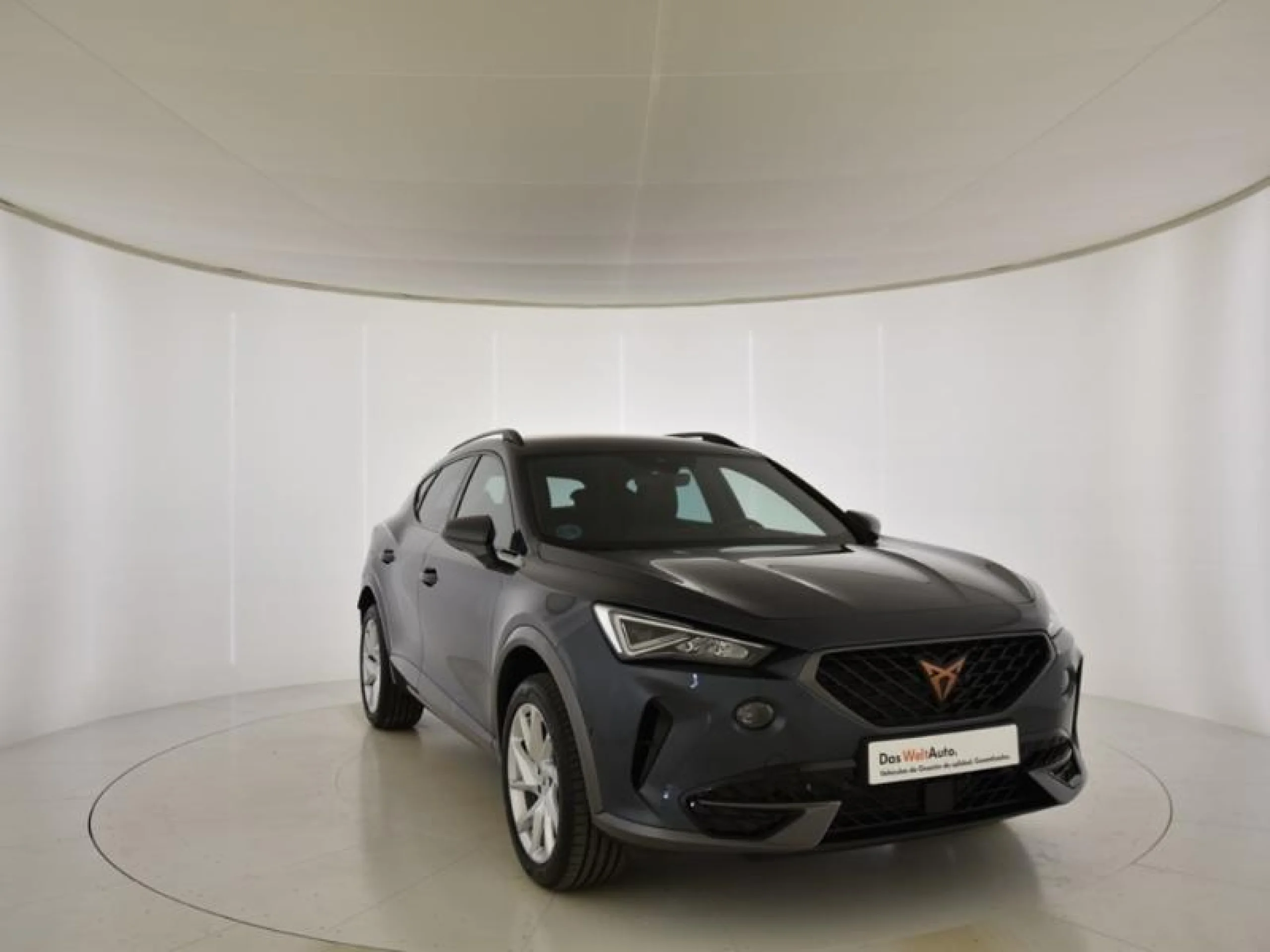 CUPRA FORMENTOR 2.0 TDI 110KW (150 CV) - Foto 1