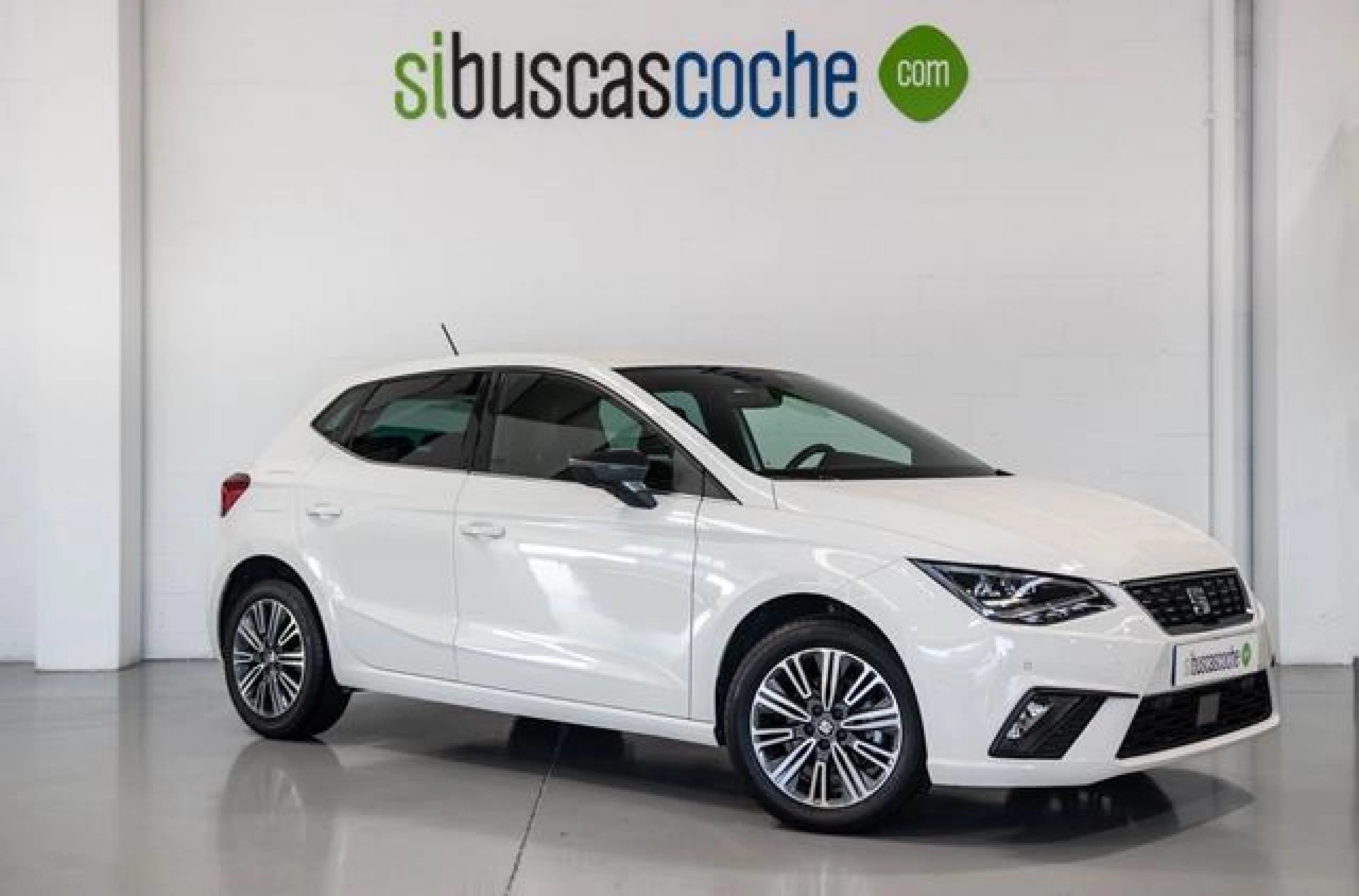 SEAT IBIZA 1.6 TDI 70KW (95CV) XCELLENCE PLUS - Foto 1