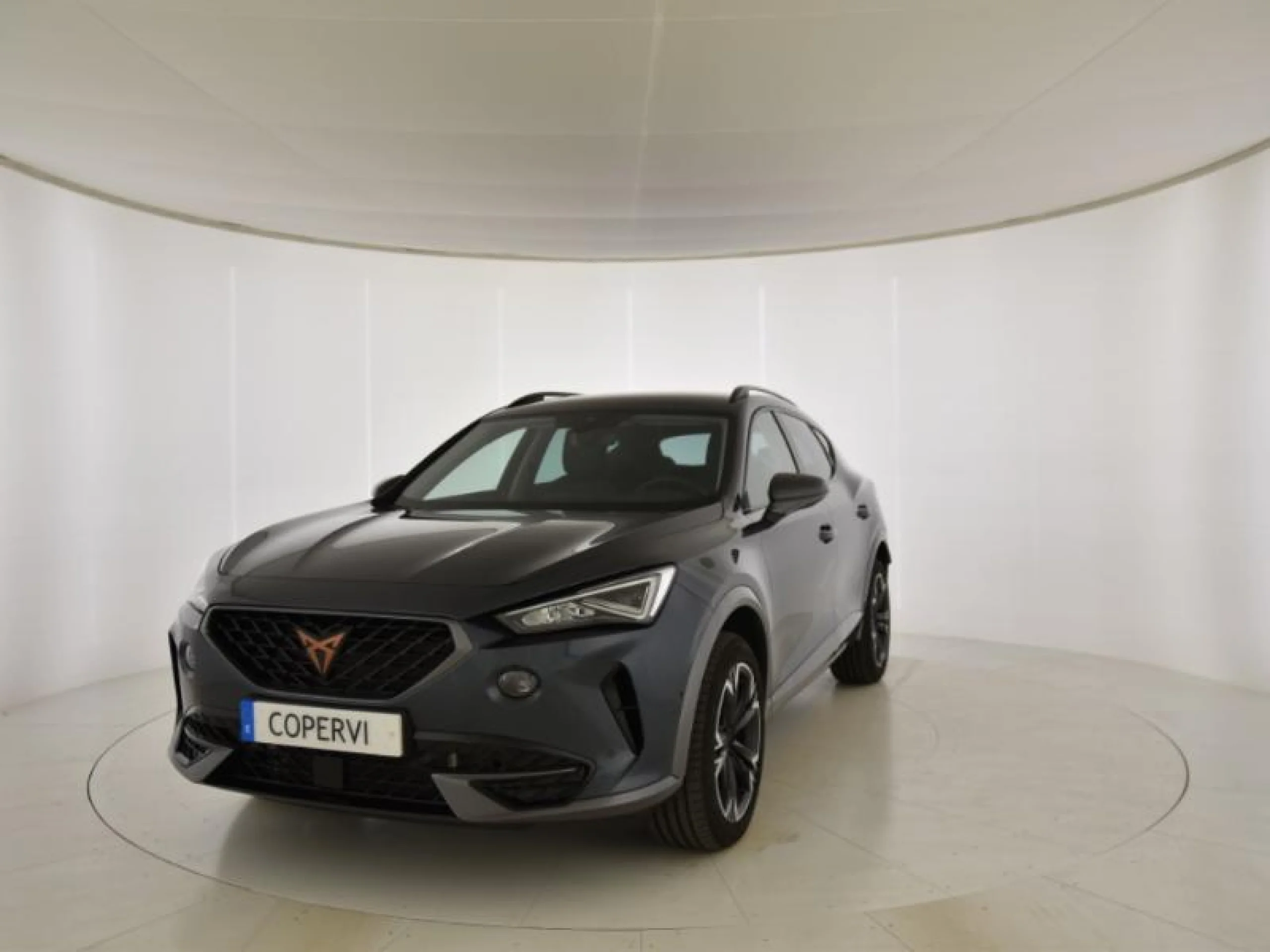 CUPRA FORMENTOR 2.0 TSI 140KW (190 CV) 4DRIVE DSG - Foto 1