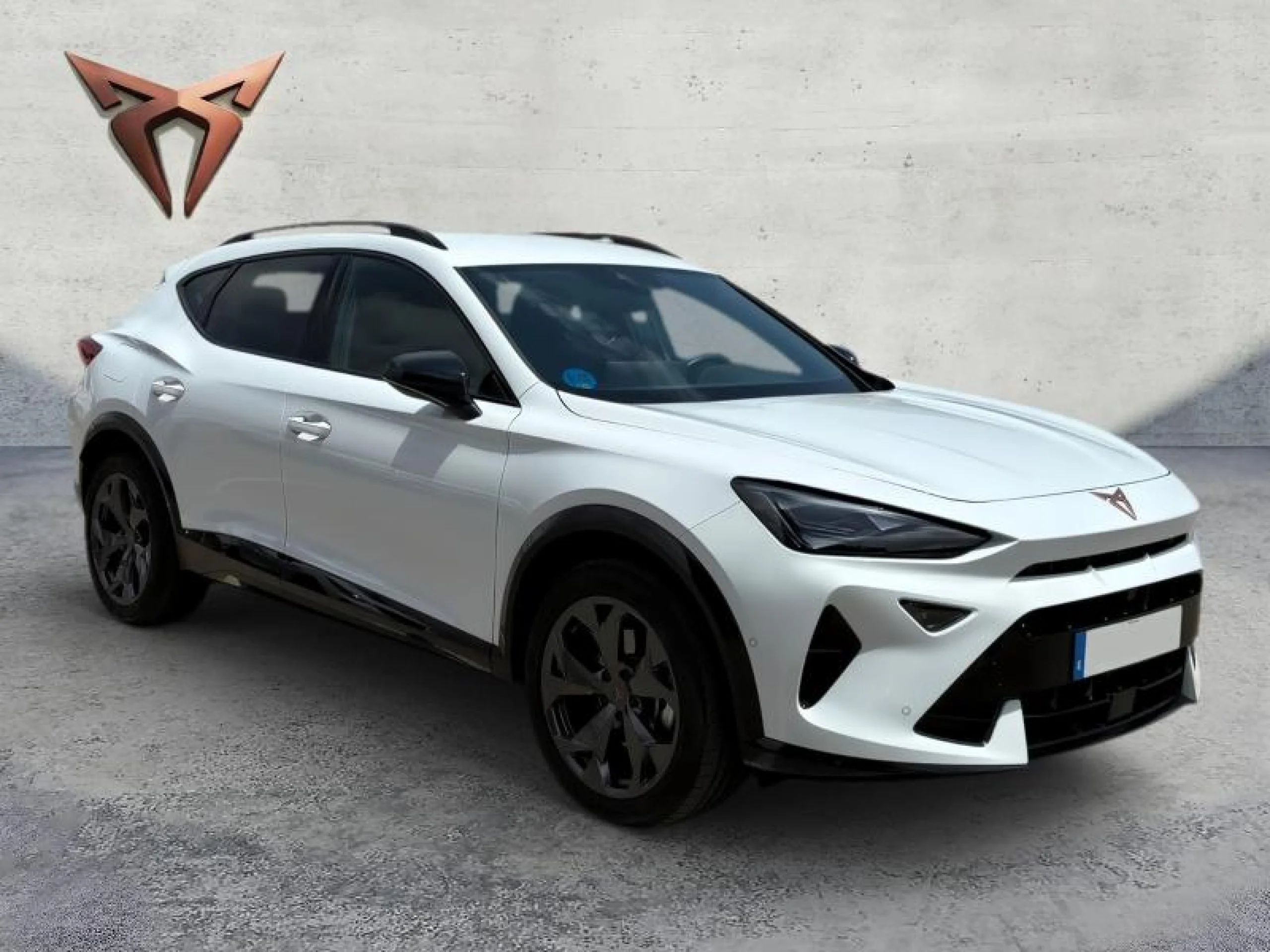 CUPRA FORMENTOR 1.5 TSI E HYBRID 150KW (204 CV) DSG - Foto 2