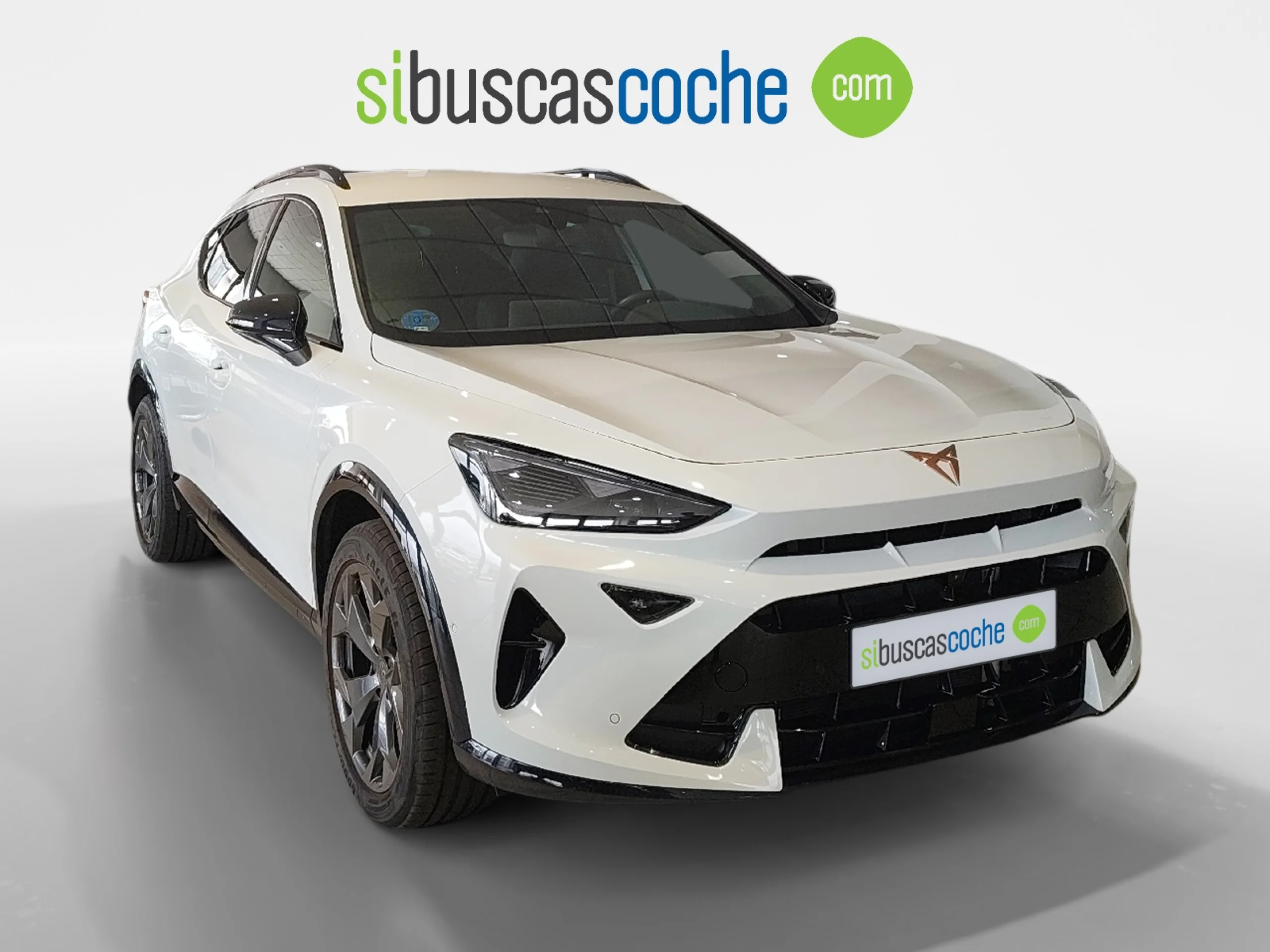 CUPRA FORMENTOR 1.5 TSI E HYBRID 150KW (204 CV) DSG - Foto 1