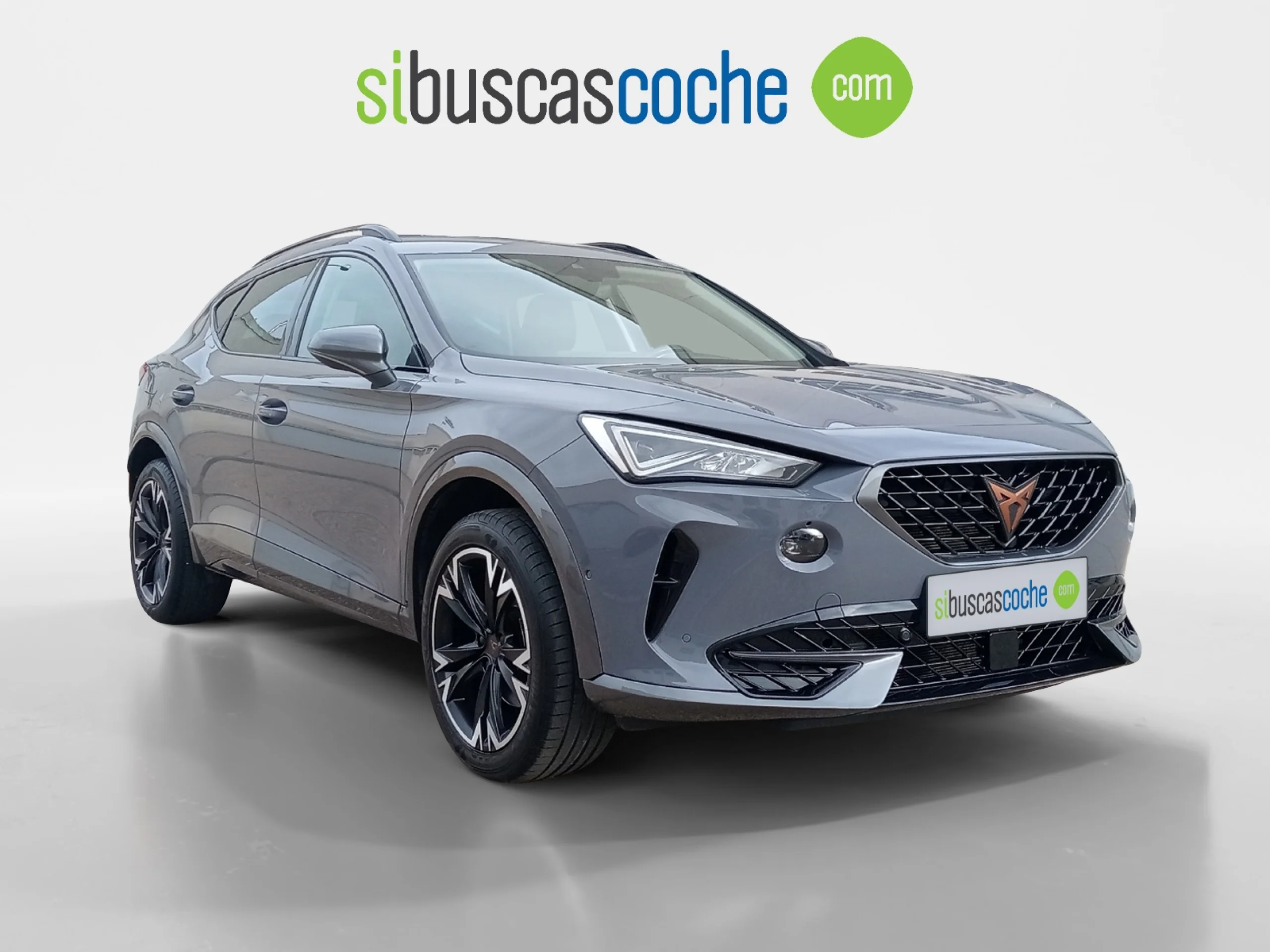 CUPRA FORMENTOR 1.5 TSI 110KW (150 CV) DSG - Foto 1