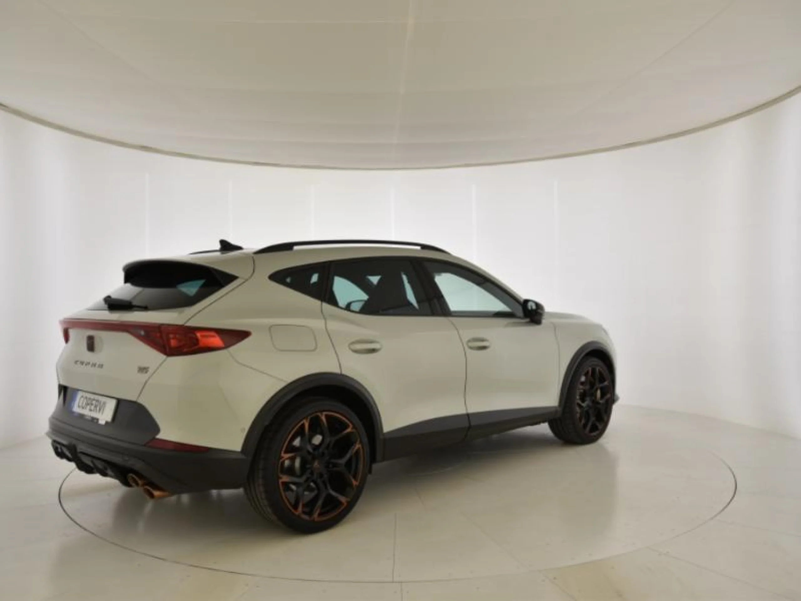 CUPRA FORMENTOR 2.5 TSI 287KW (390 CV) VZ5 4DRIVE DSG - Foto 3