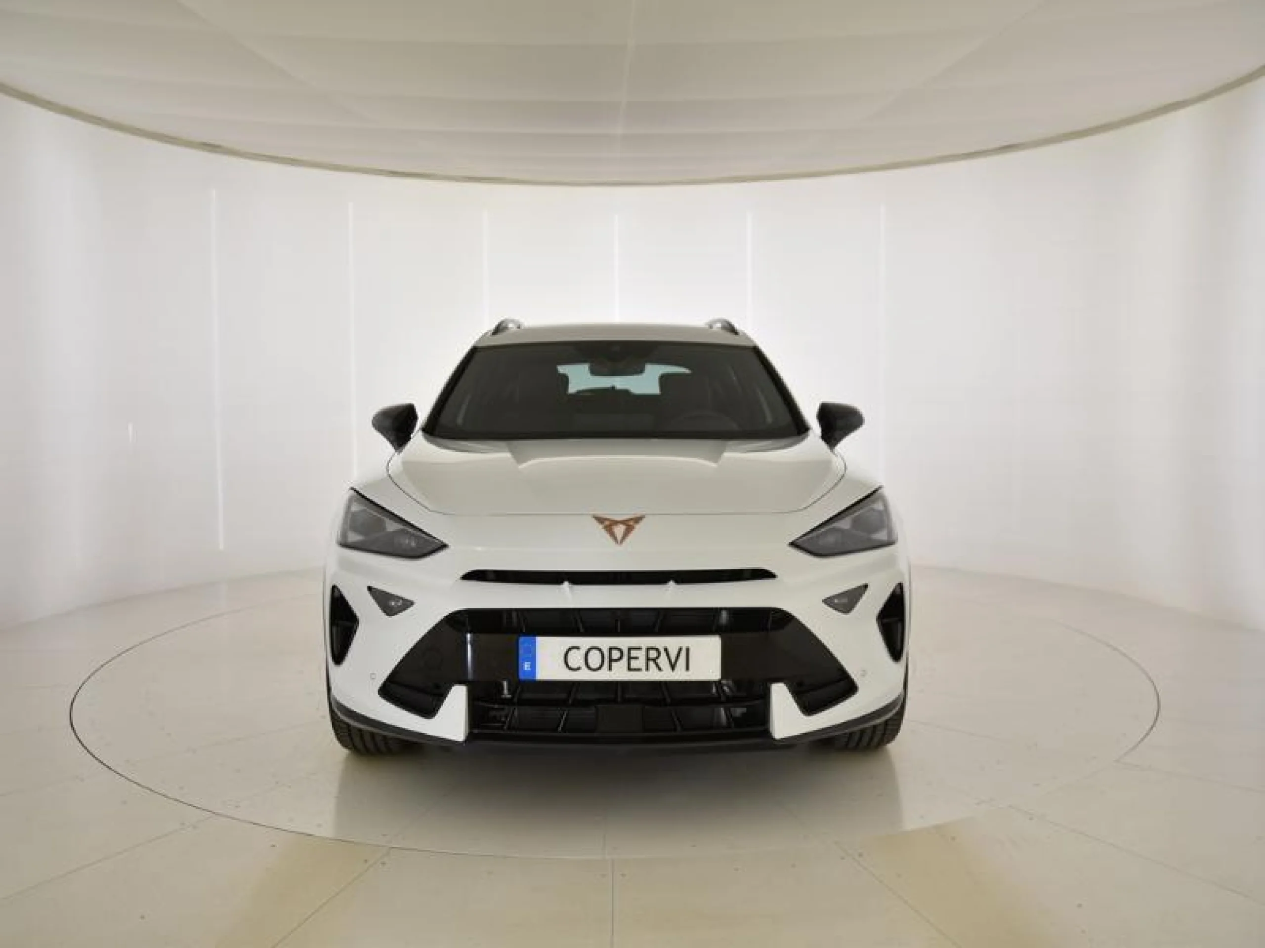 CUPRA FORMENTOR 1.5 TSI E HYBRID 150KW (204 CV) DSG - Foto 2