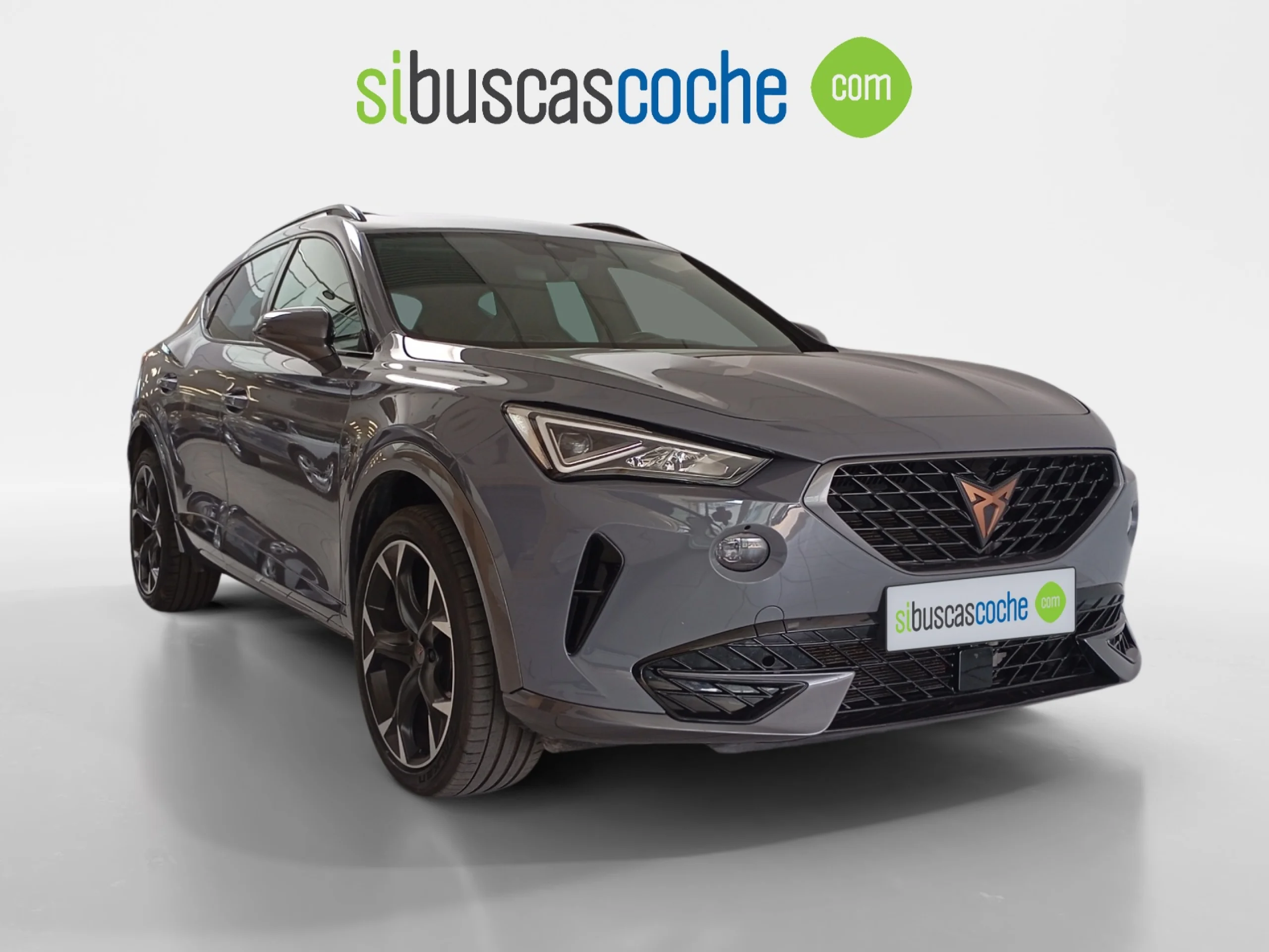 CUPRA FORMENTOR 1.5 TSI 110KW (150 CV) DSG - Foto 1