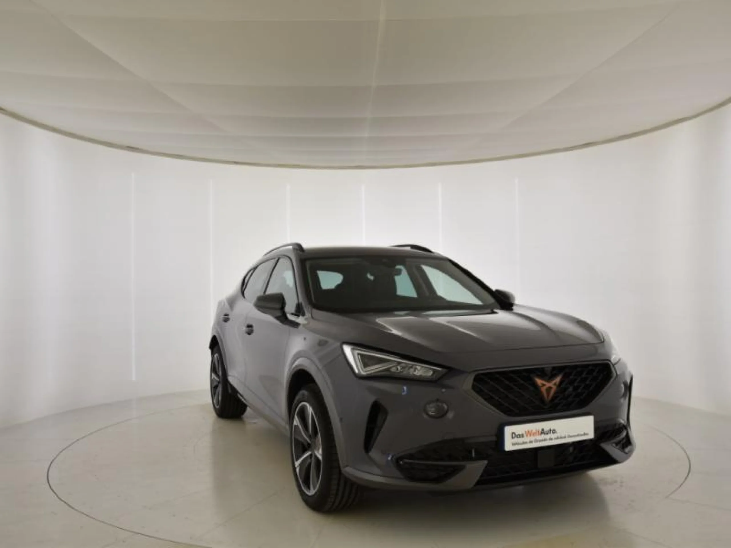 CUPRA FORMENTOR 1.4 E HYBRID 150KW (204 CV) DSG - Foto 1