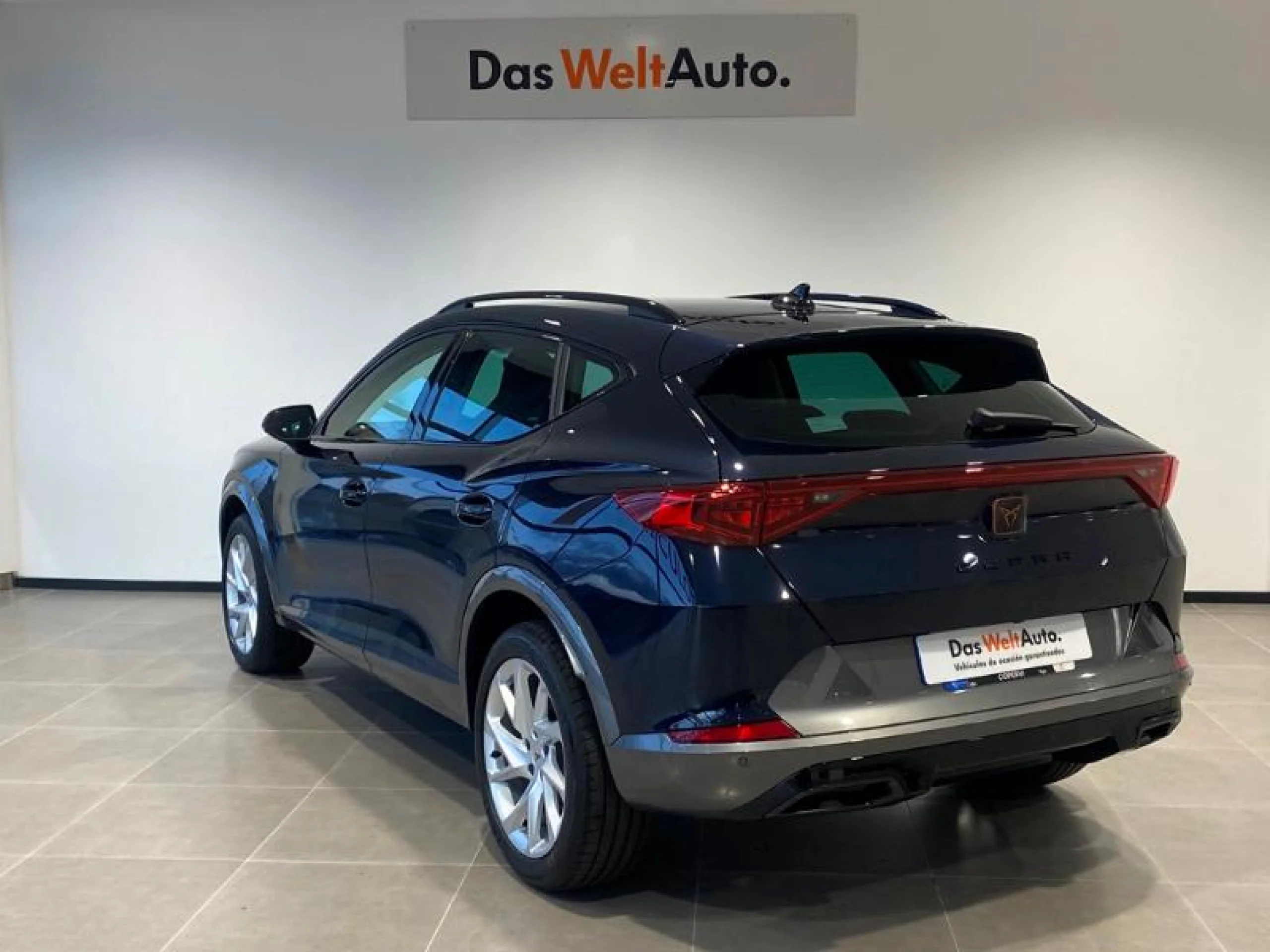 CUPRA FORMENTOR 1.5 TSI 110KW (150 CV) DSG - Foto 2
