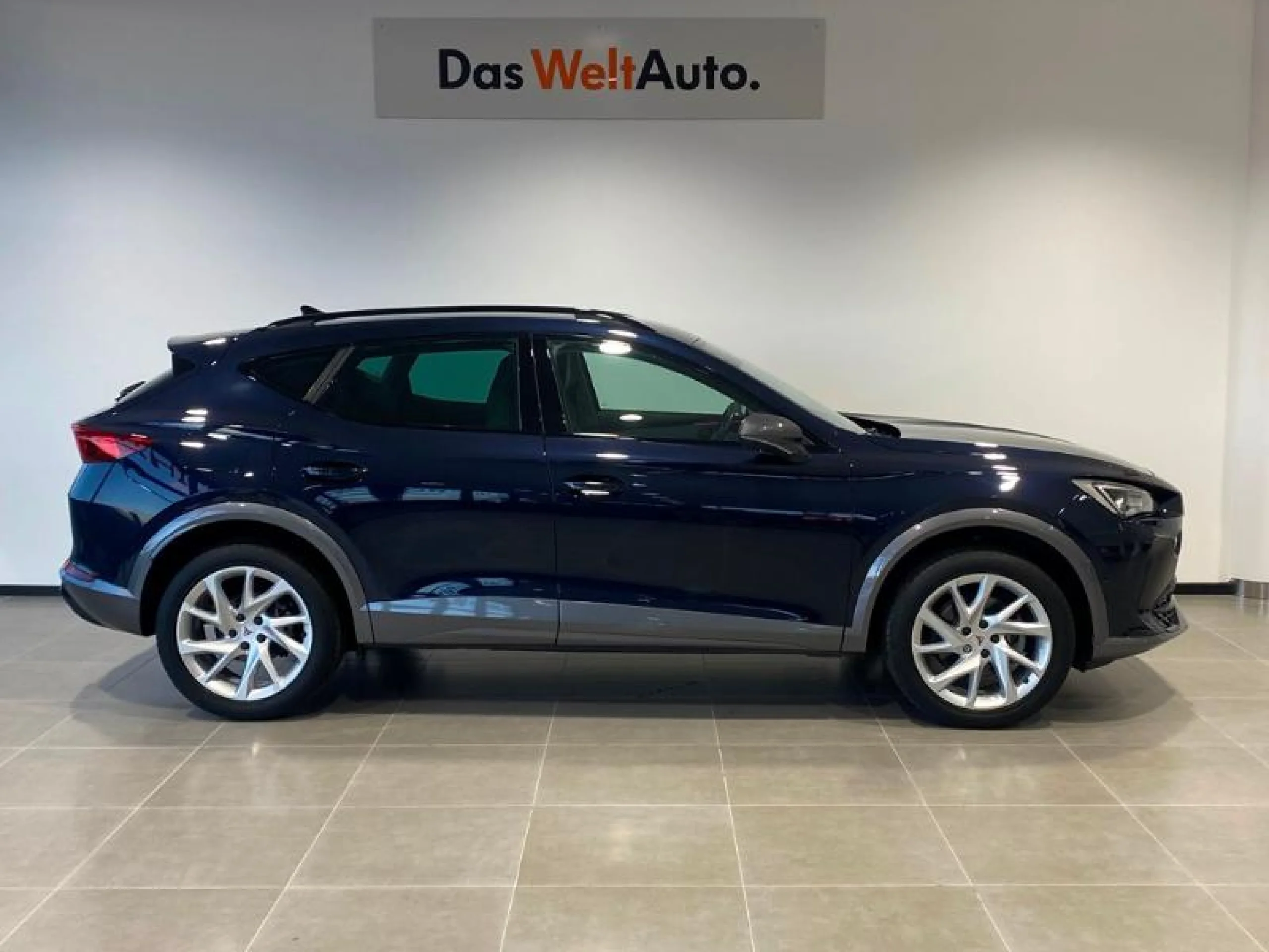 CUPRA FORMENTOR 1.5 TSI 110KW (150 CV) DSG - Foto 3