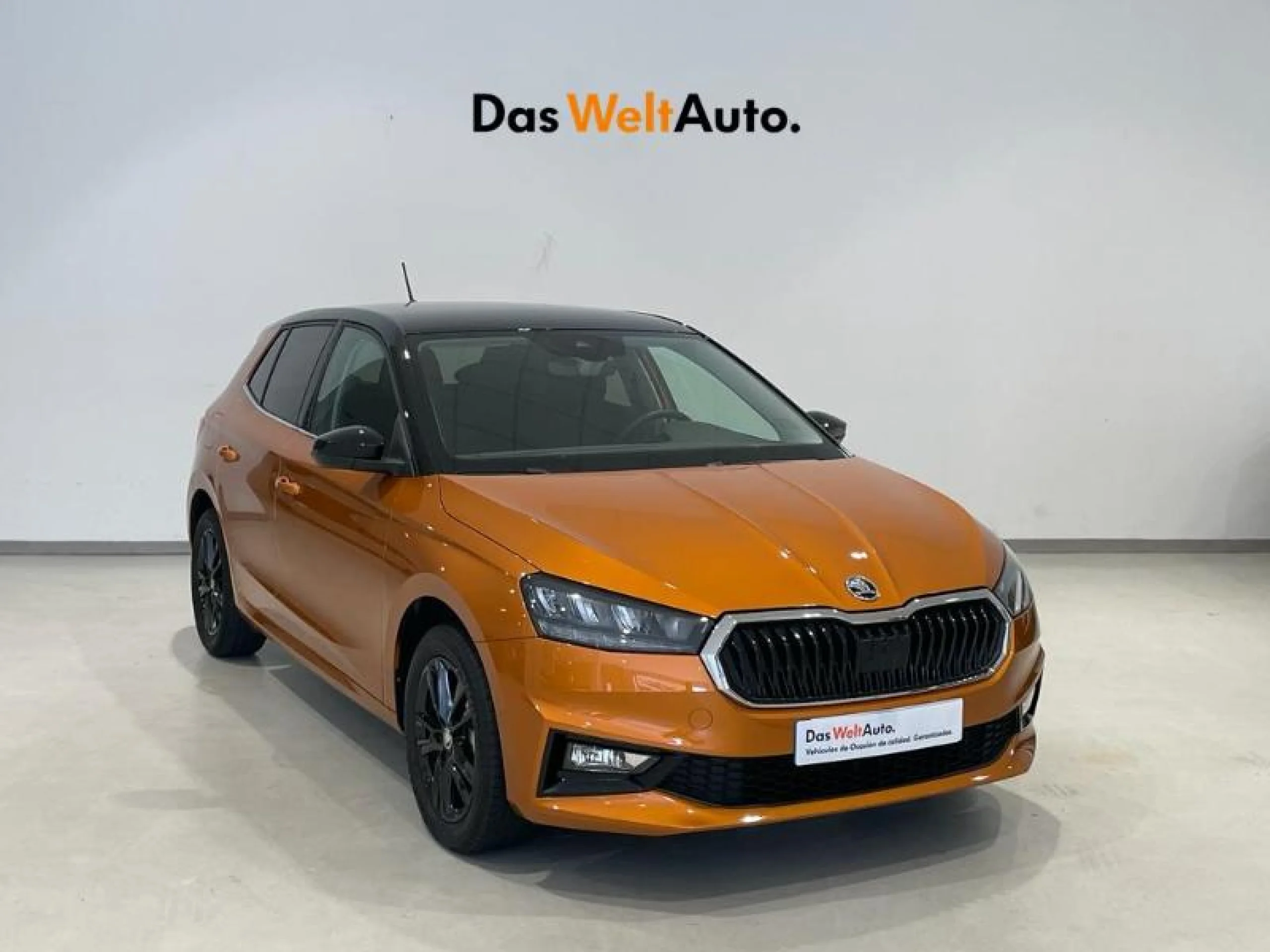 SKODA FABIA 1.0 TSI 70KW (95CV) STYLE - Foto 1