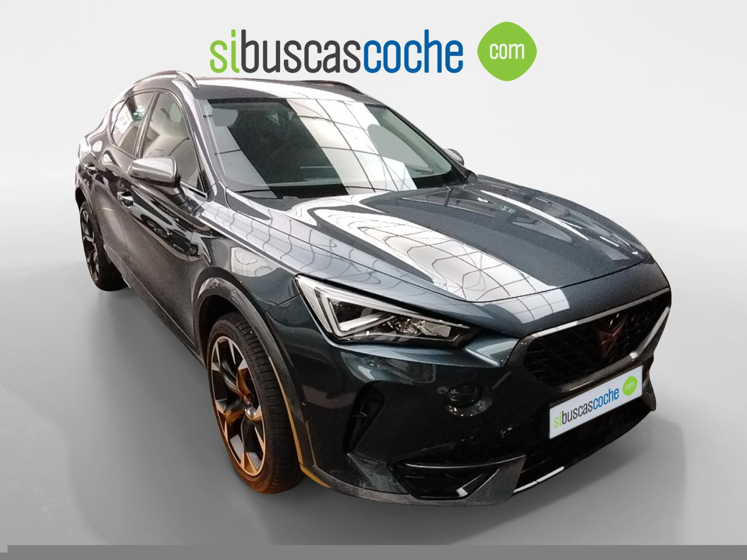 CUPRA FORMENTOR 1.5 TSI 110KW (150 CV) DSG - Foto 2