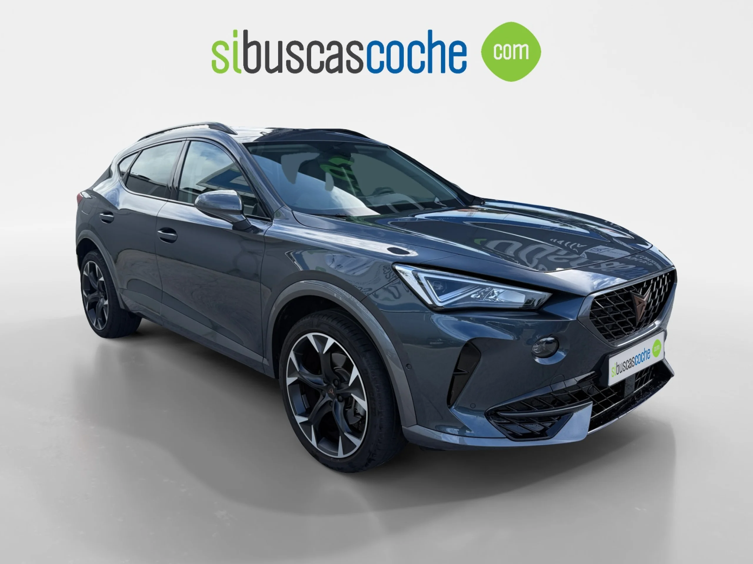 CUPRA FORMENTOR 1.5 TSI 110KW (150 CV) DSG - Foto 1