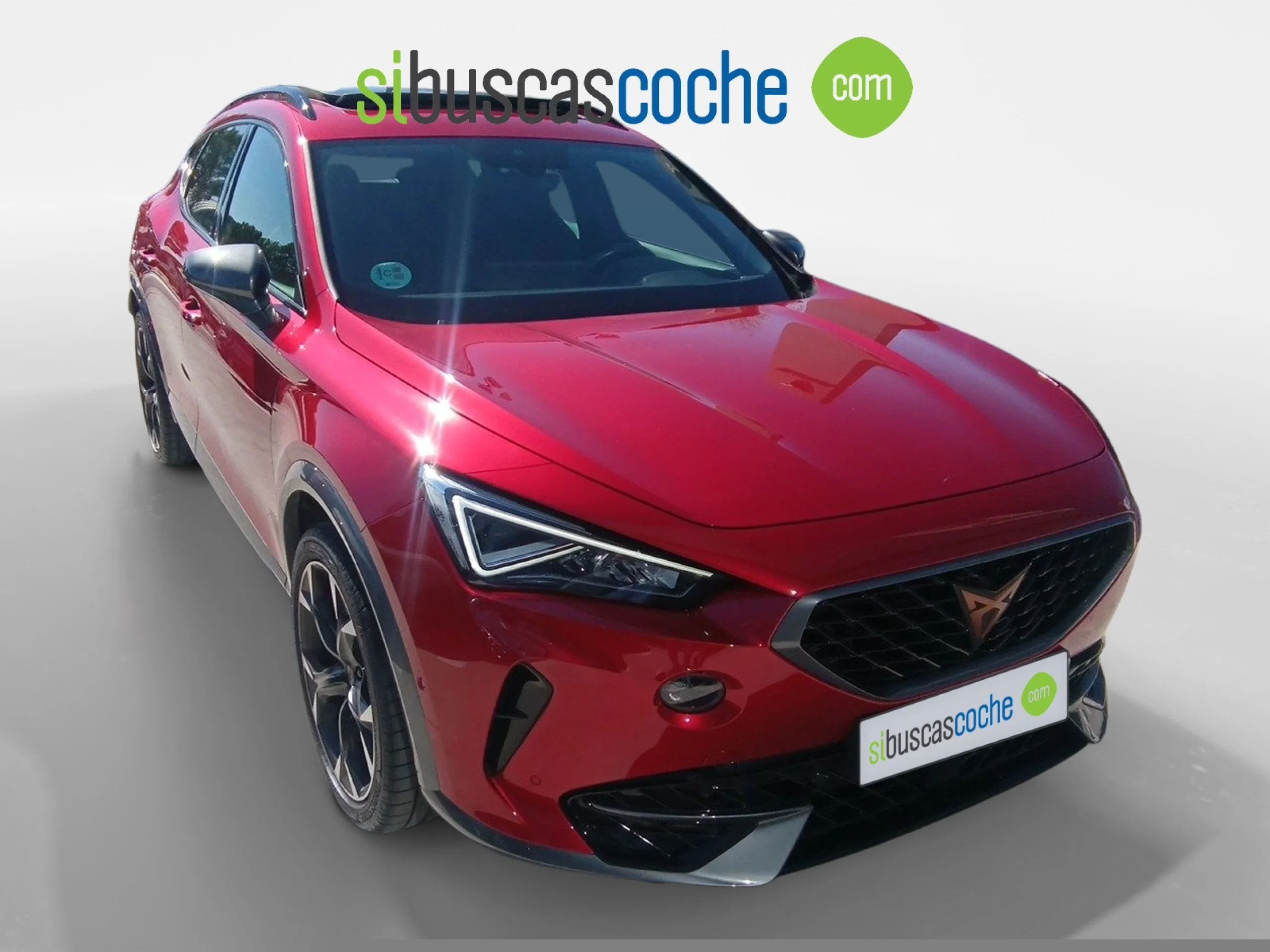 CUPRA FORMENTOR 2.0 TSI 180KW (245 CV) VZ DSG - Foto 2