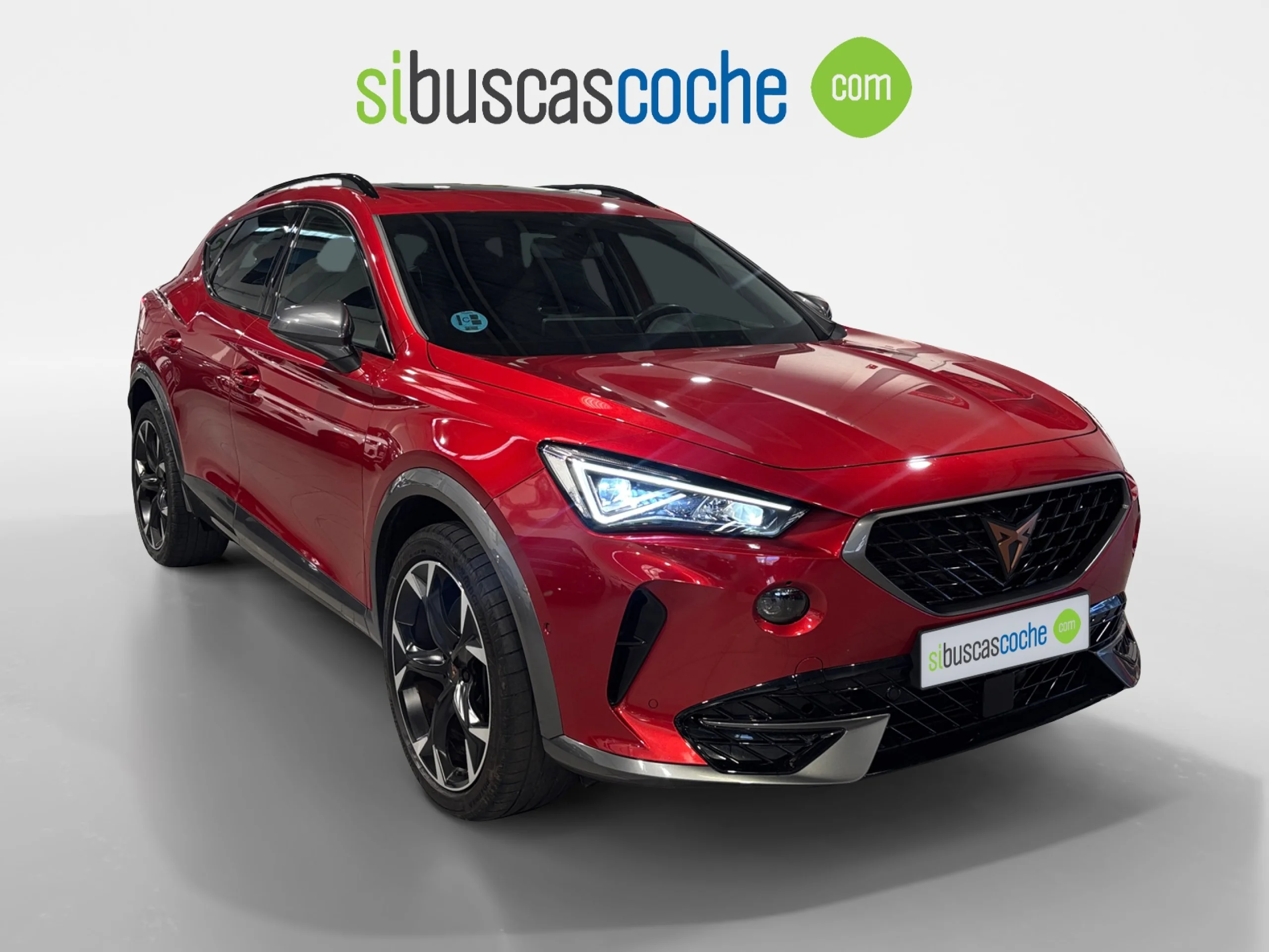 CUPRA FORMENTOR 2.0 TSI 180KW (245 CV) VZ DSG - Foto 1
