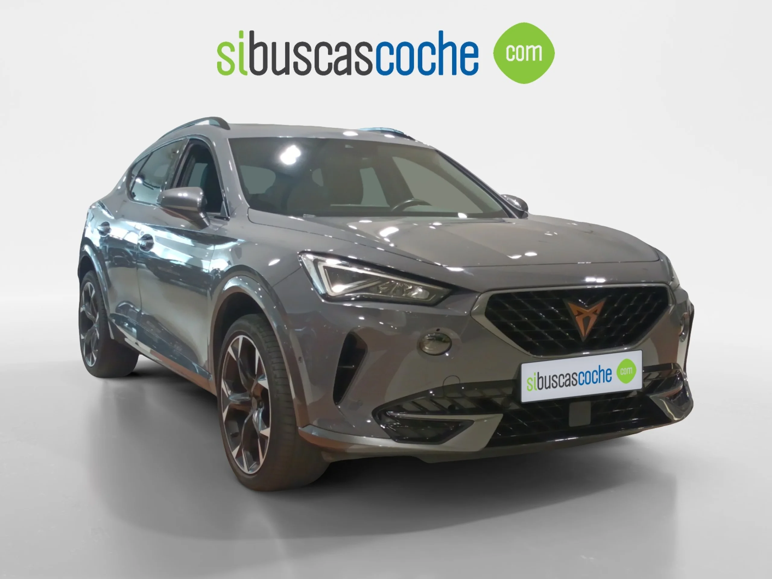 CUPRA FORMENTOR 1.5 TSI 110KW (150 CV) DSG - Foto 1