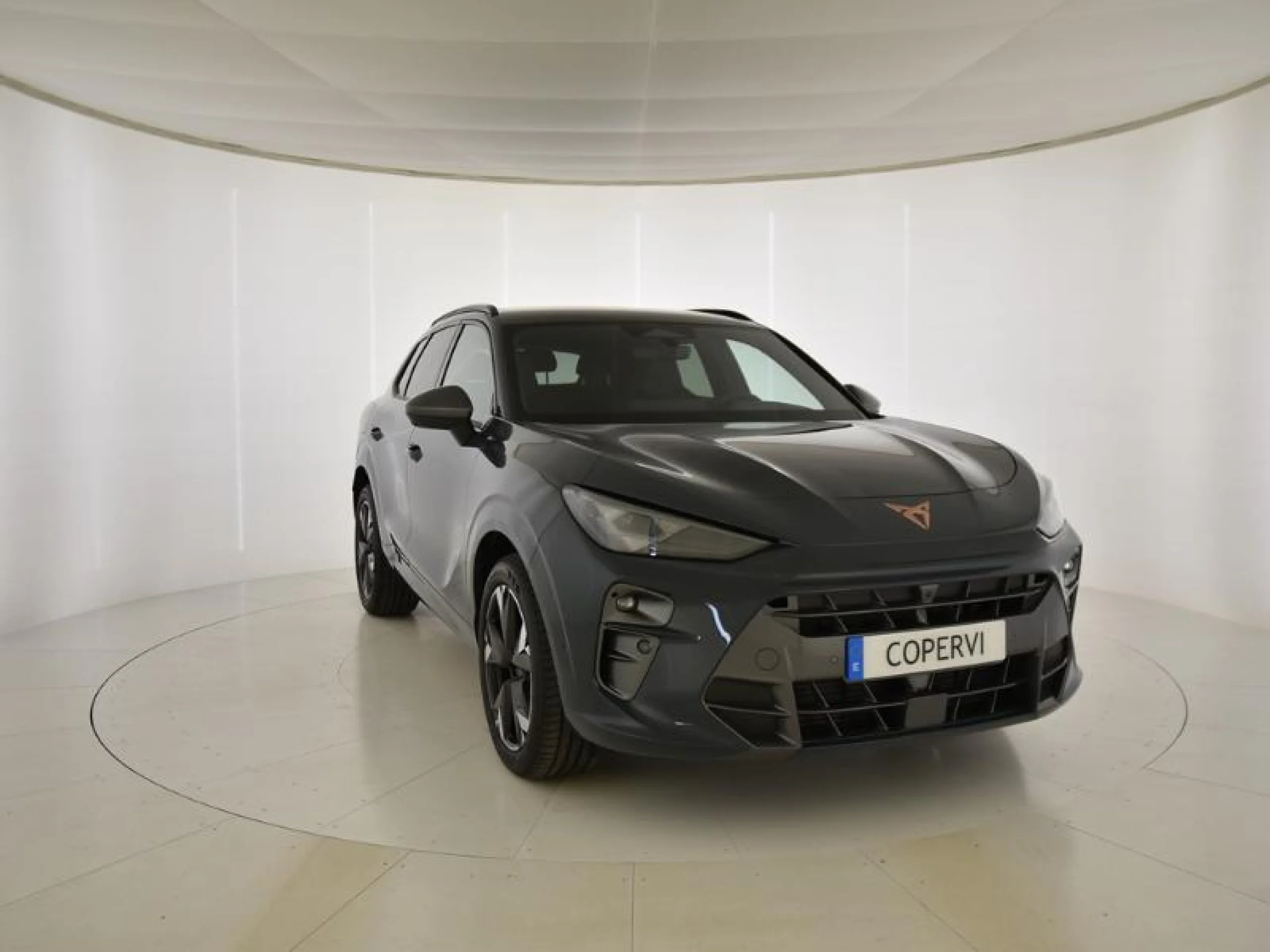CUPRA TERRAMAR 1.5 ETSI 110KW (150 CV) DSG - Foto 3