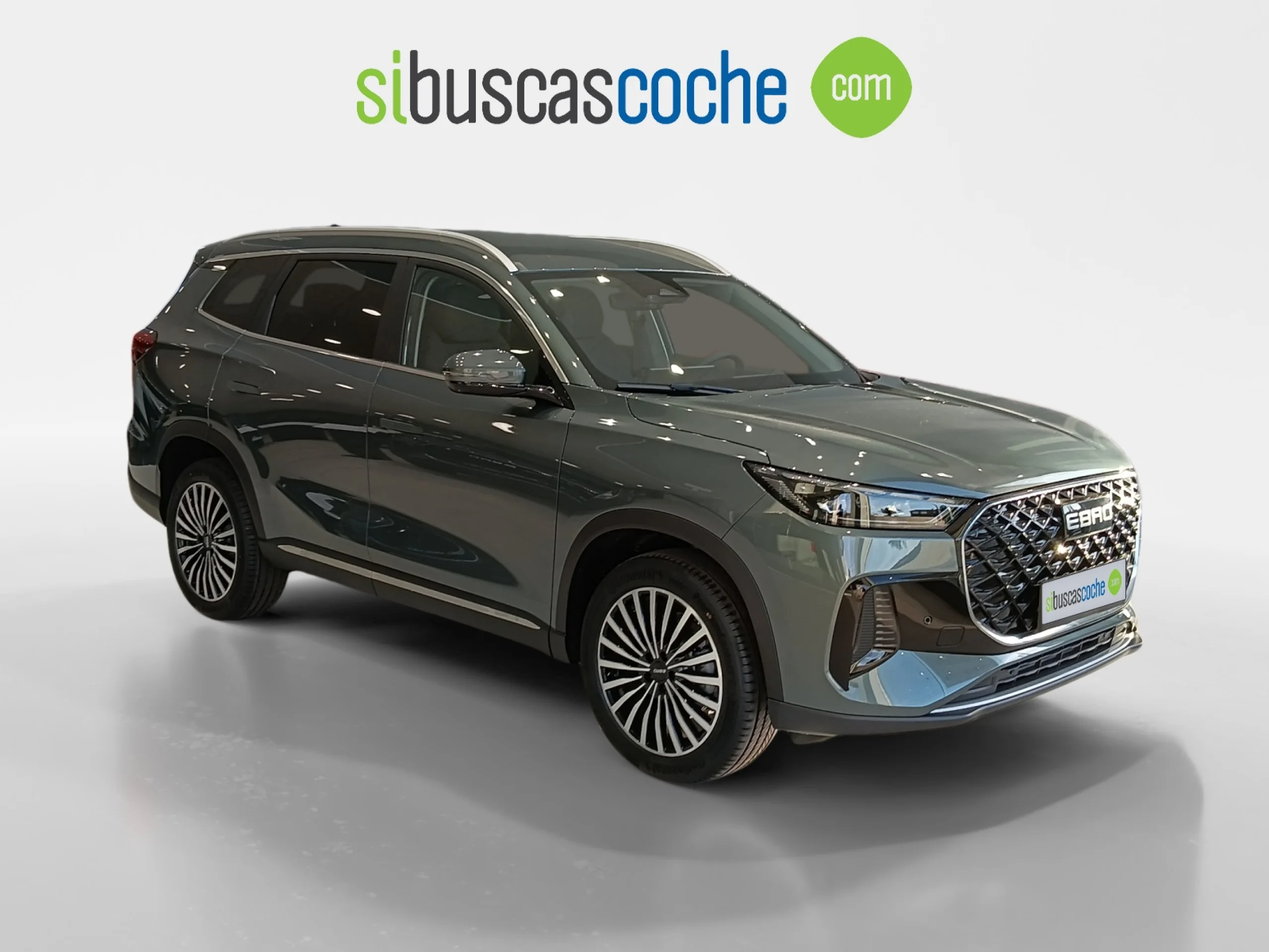 EBRO S800 S800 PREMIUM GREEN BAMBOO GREY - Foto 1