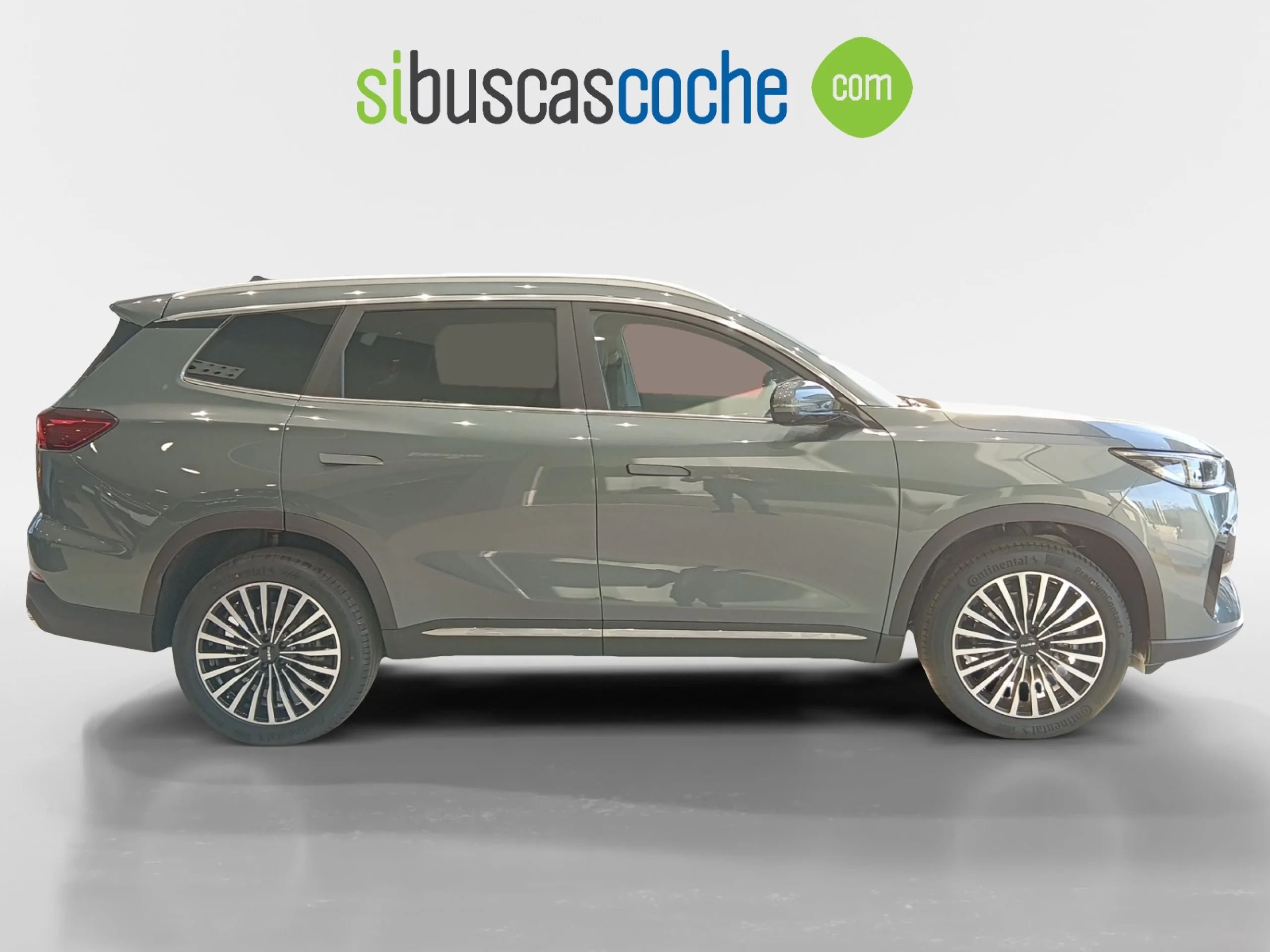 EBRO S800 S800 PREMIUM GREEN BAMBOO GREY - Foto 3