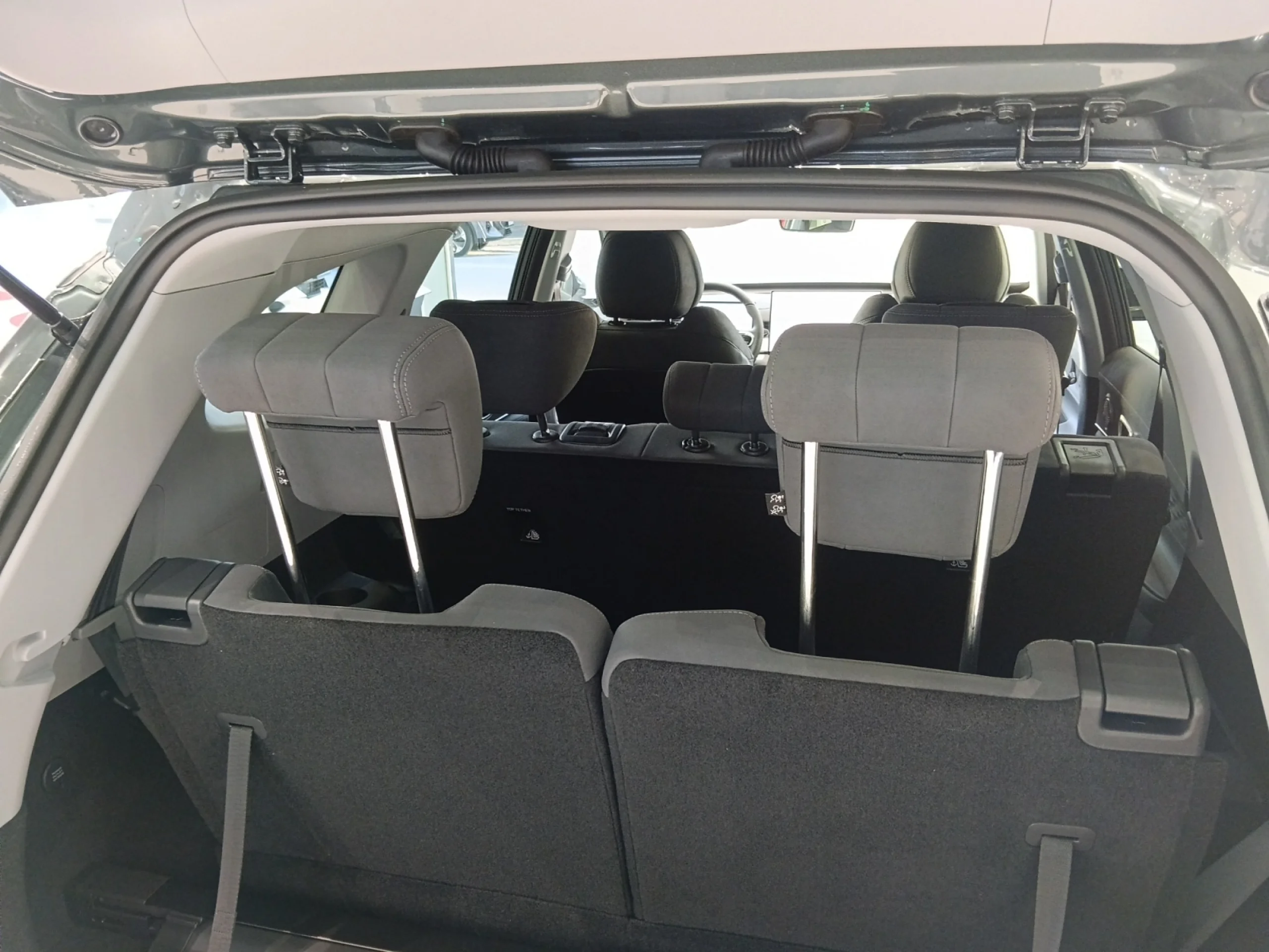 EBRO S800 S800 PREMIUM GREEN BAMBOO GREY - Foto 9