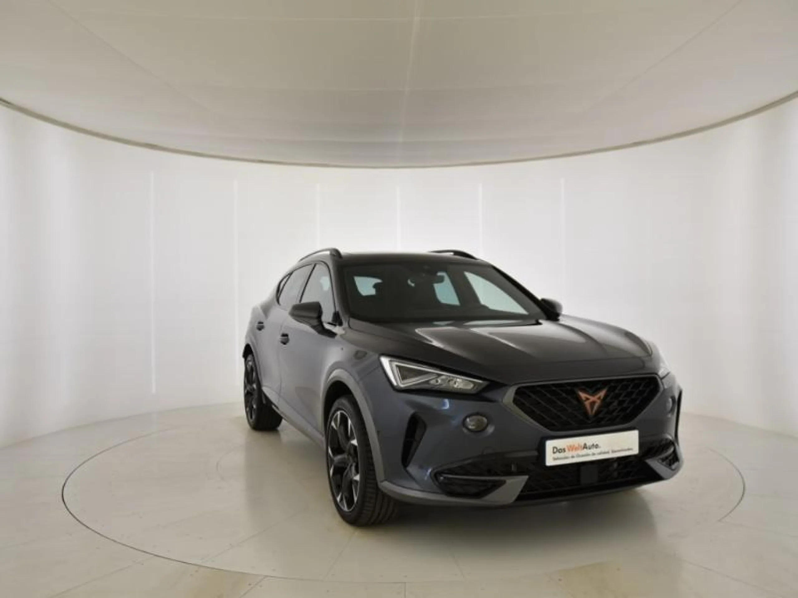 CUPRA FORMENTOR 2.0 TSI 180KW (245 CV) VZ DSG - Foto 1