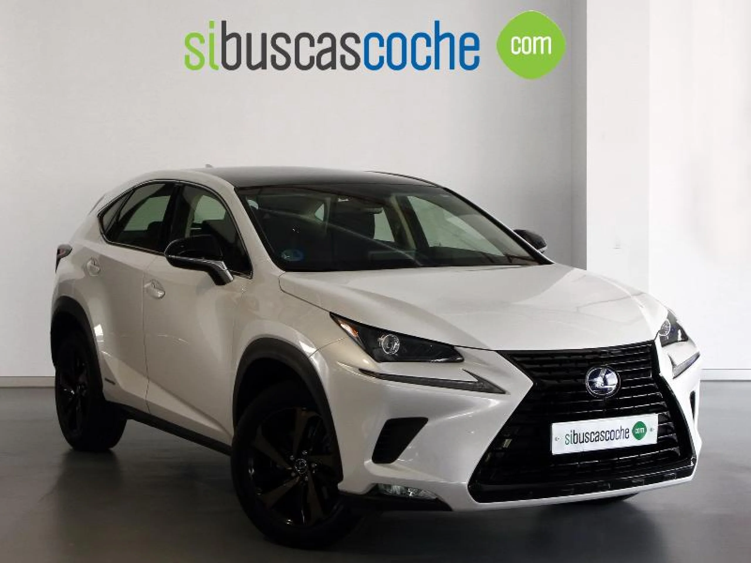 Lexus Nx 2.5 300H F SPORT - Foto 1