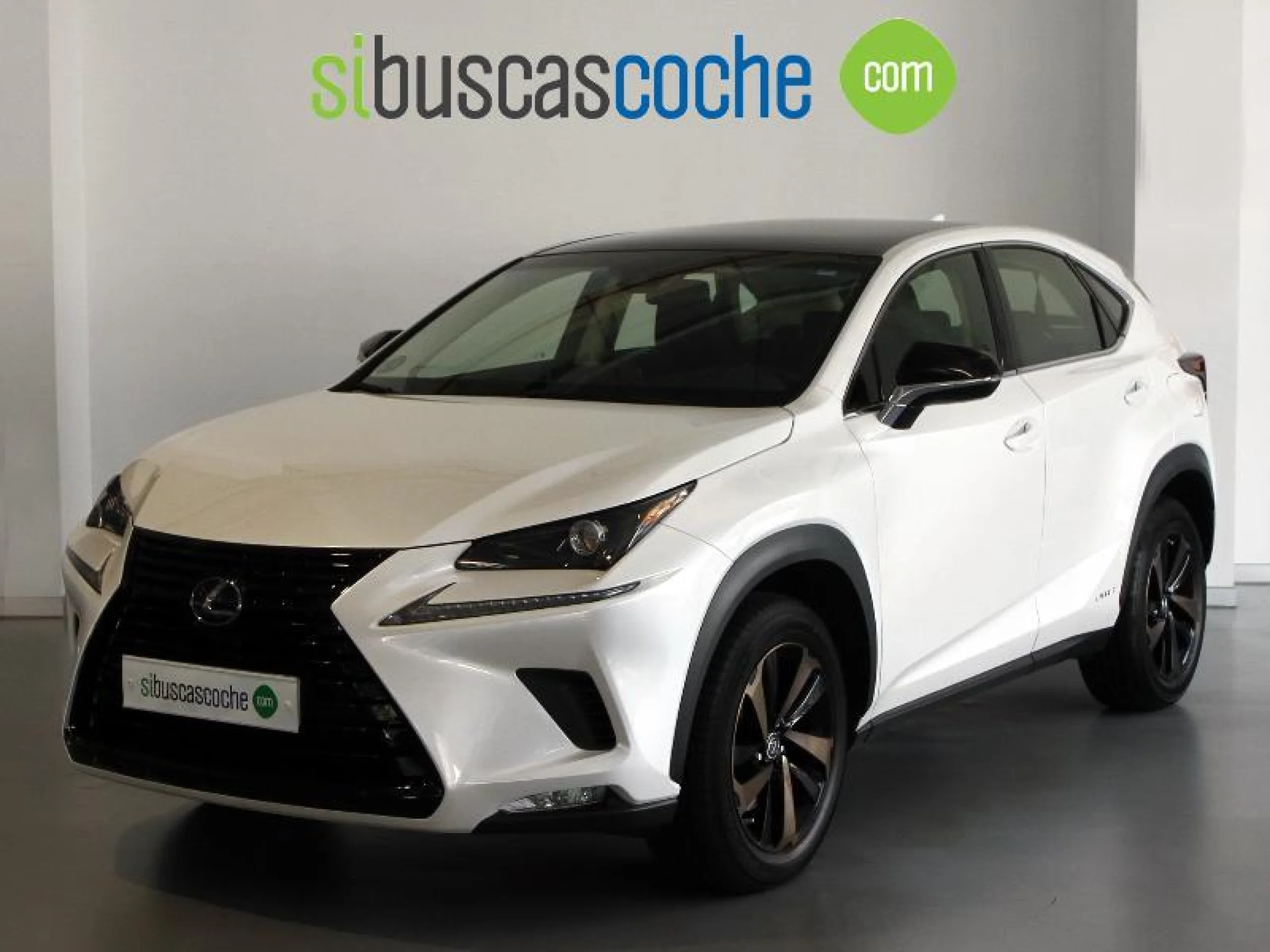 Lexus Nx 2.5 300H F SPORT - Foto 19