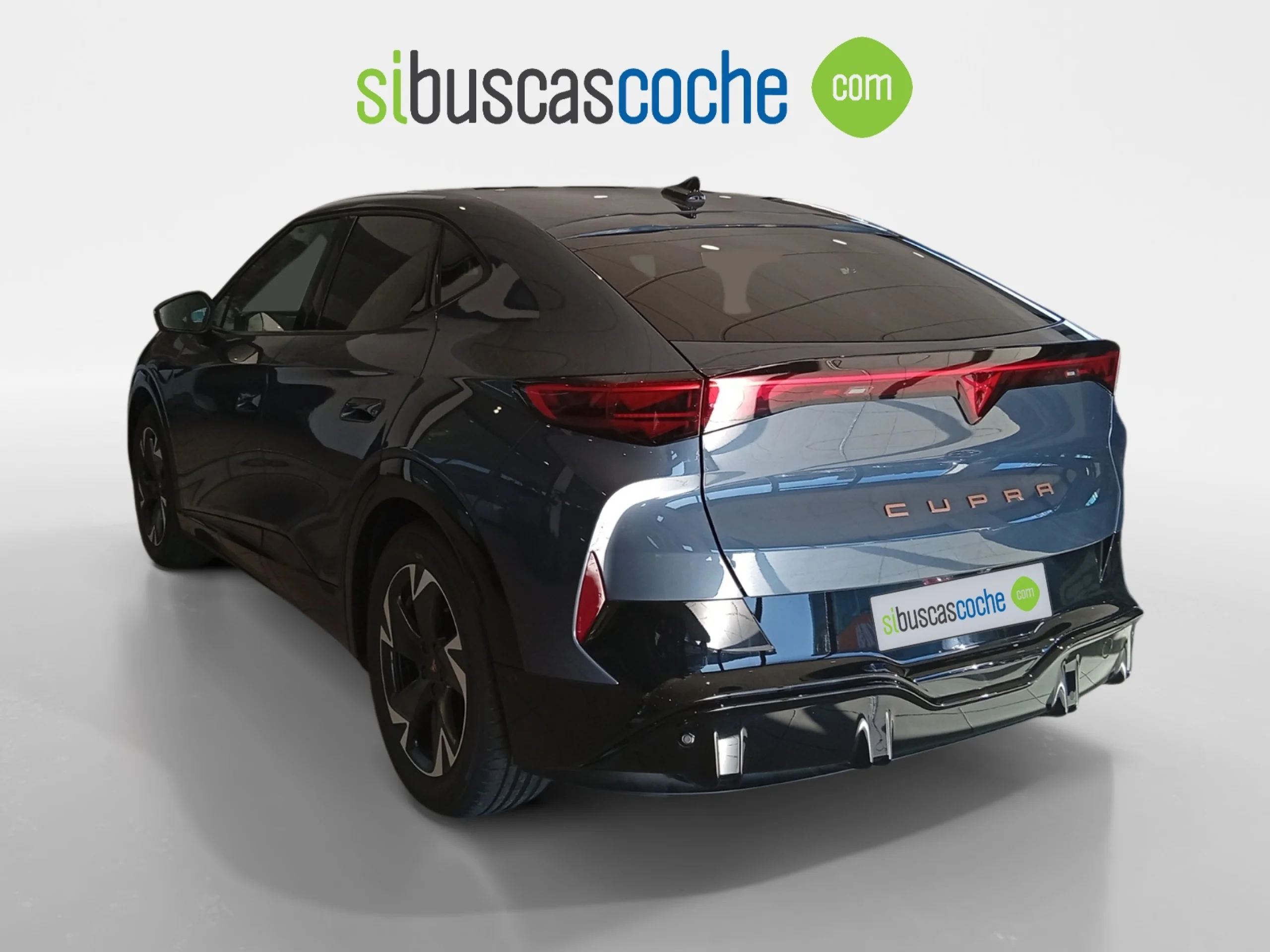 CUPRA TAVASCAN 77KWH 210KW (286CV) ENDURANCE - Foto 2
