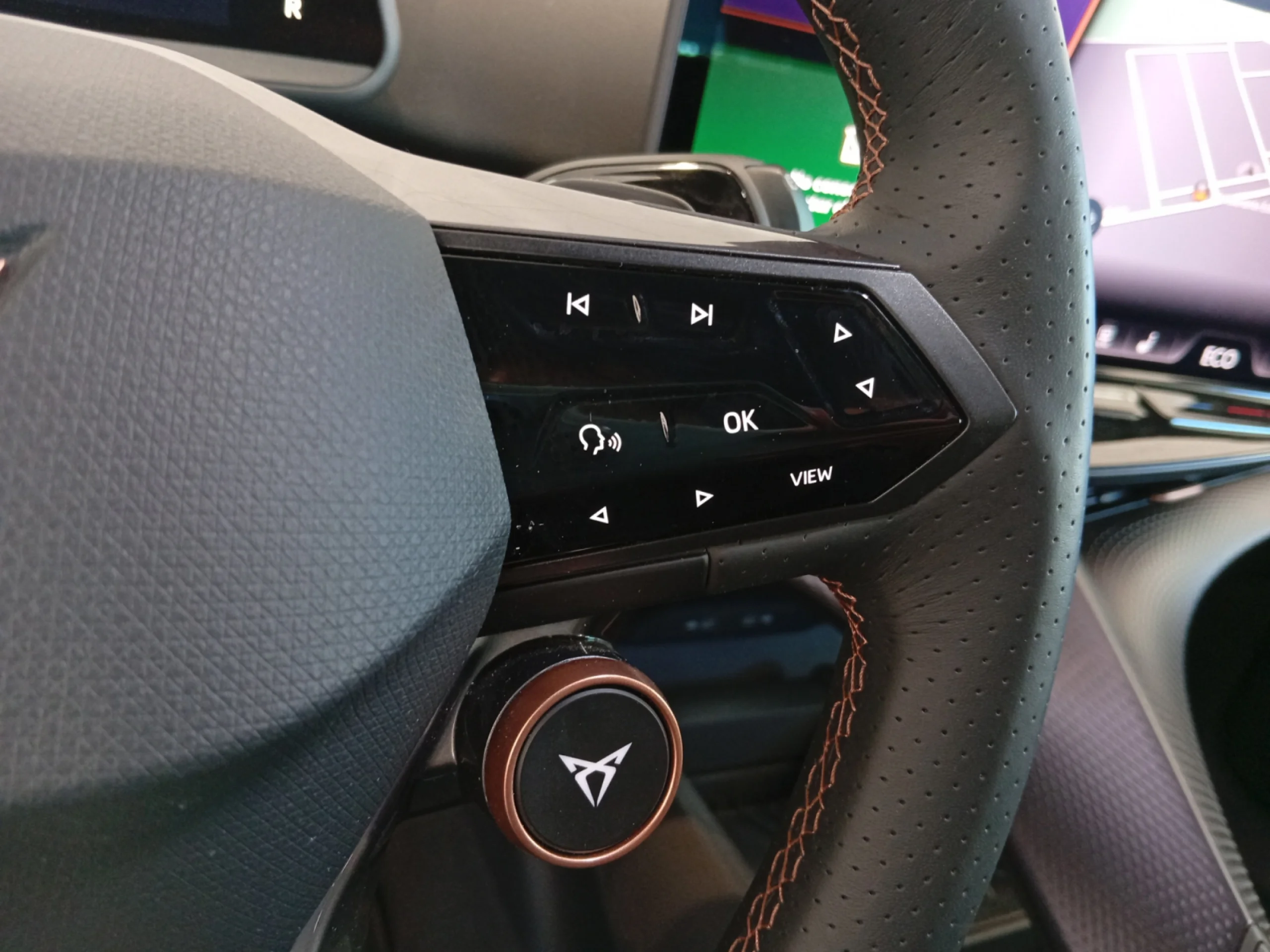 CUPRA TAVASCAN 77KWH 210KW (286CV) ENDURANCE - Foto 12